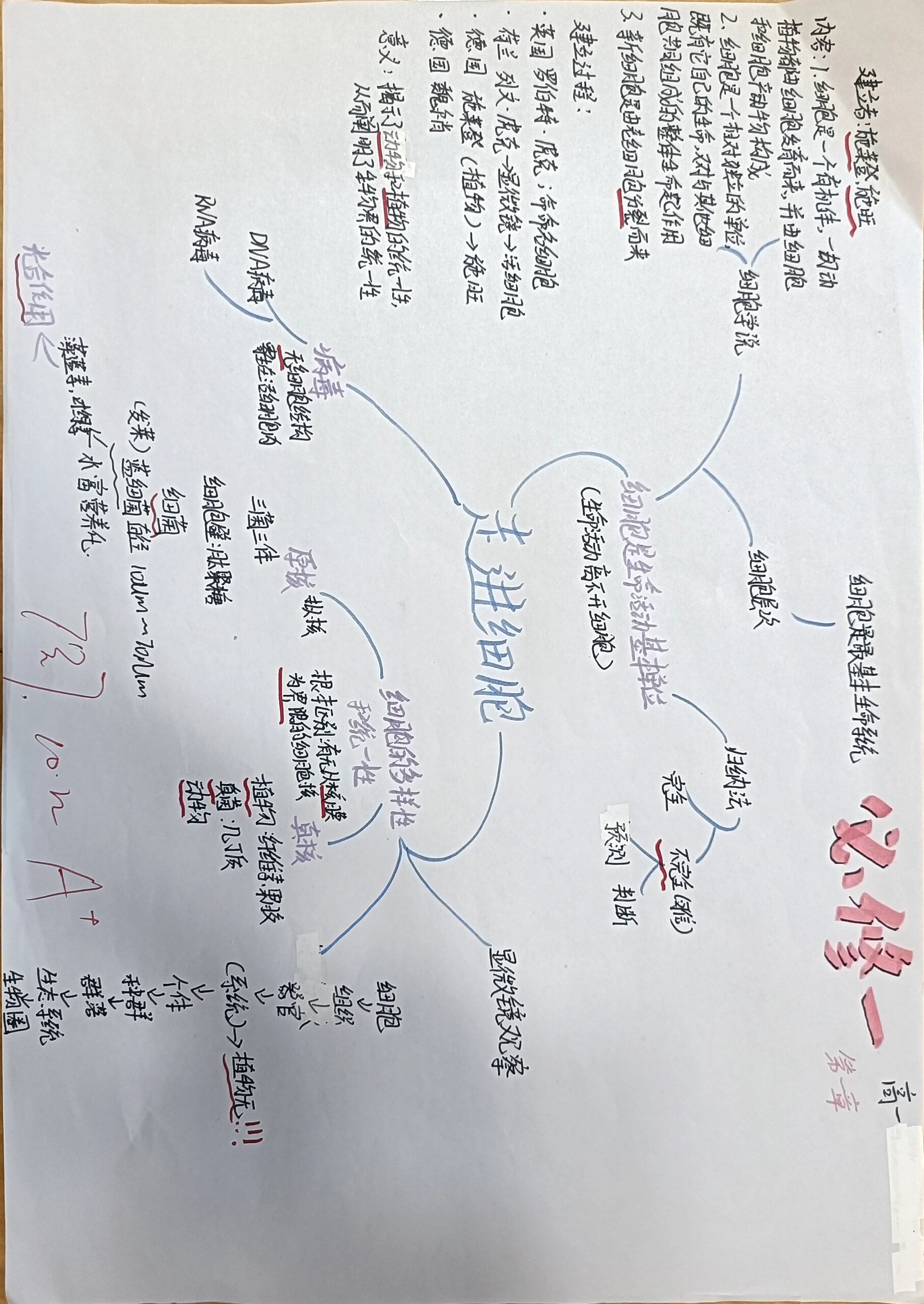 高中必修一全册思维导图生物