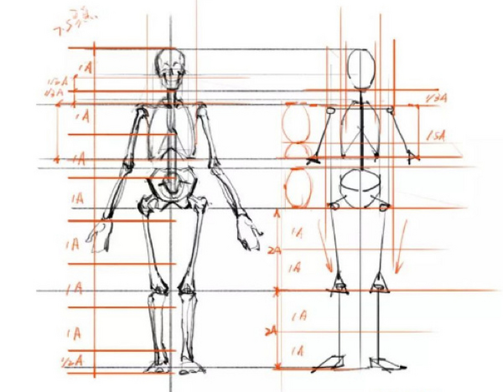 用超轻黏土制作手办素体步骤 总的来说,分体制作再组合 1,【制作顺序