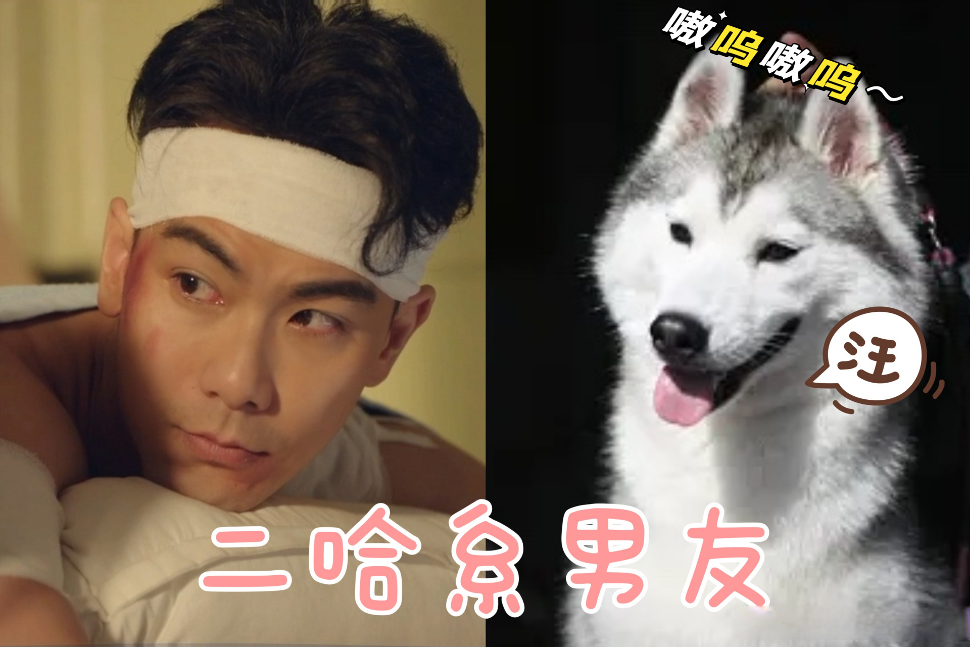 戴向宇##戴向宇肖燕新剧好甜# 嗯?二哈系男友?