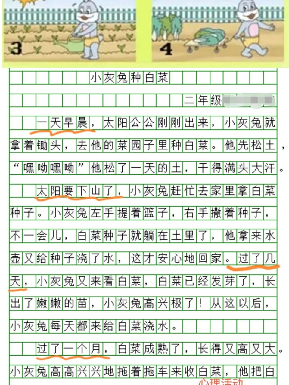 二年级看图写话《小灰兔种白菜02》