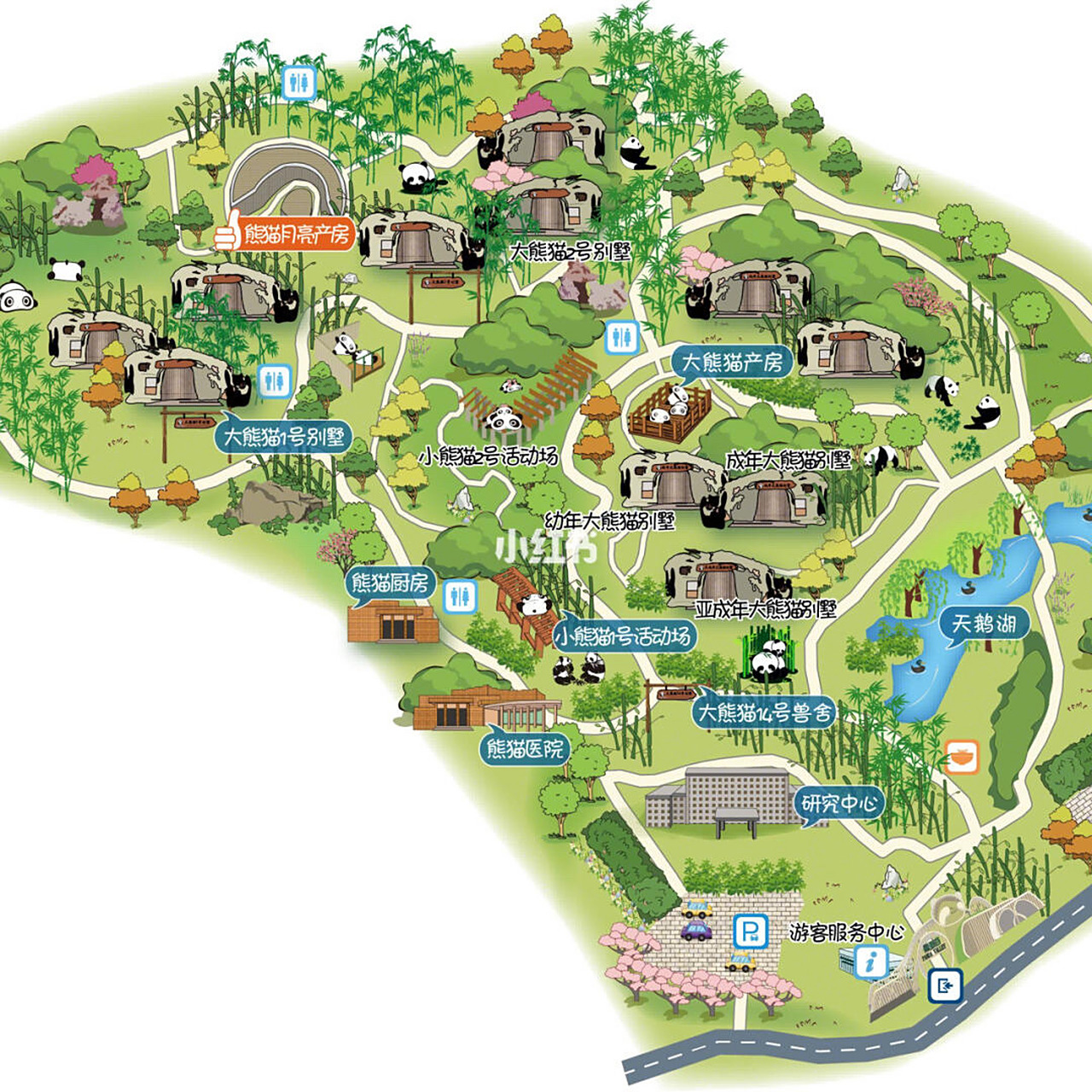 成都大熊猫基地旅游攻略 文殊院 94行程:大熊猫1号别墅--月亮产房