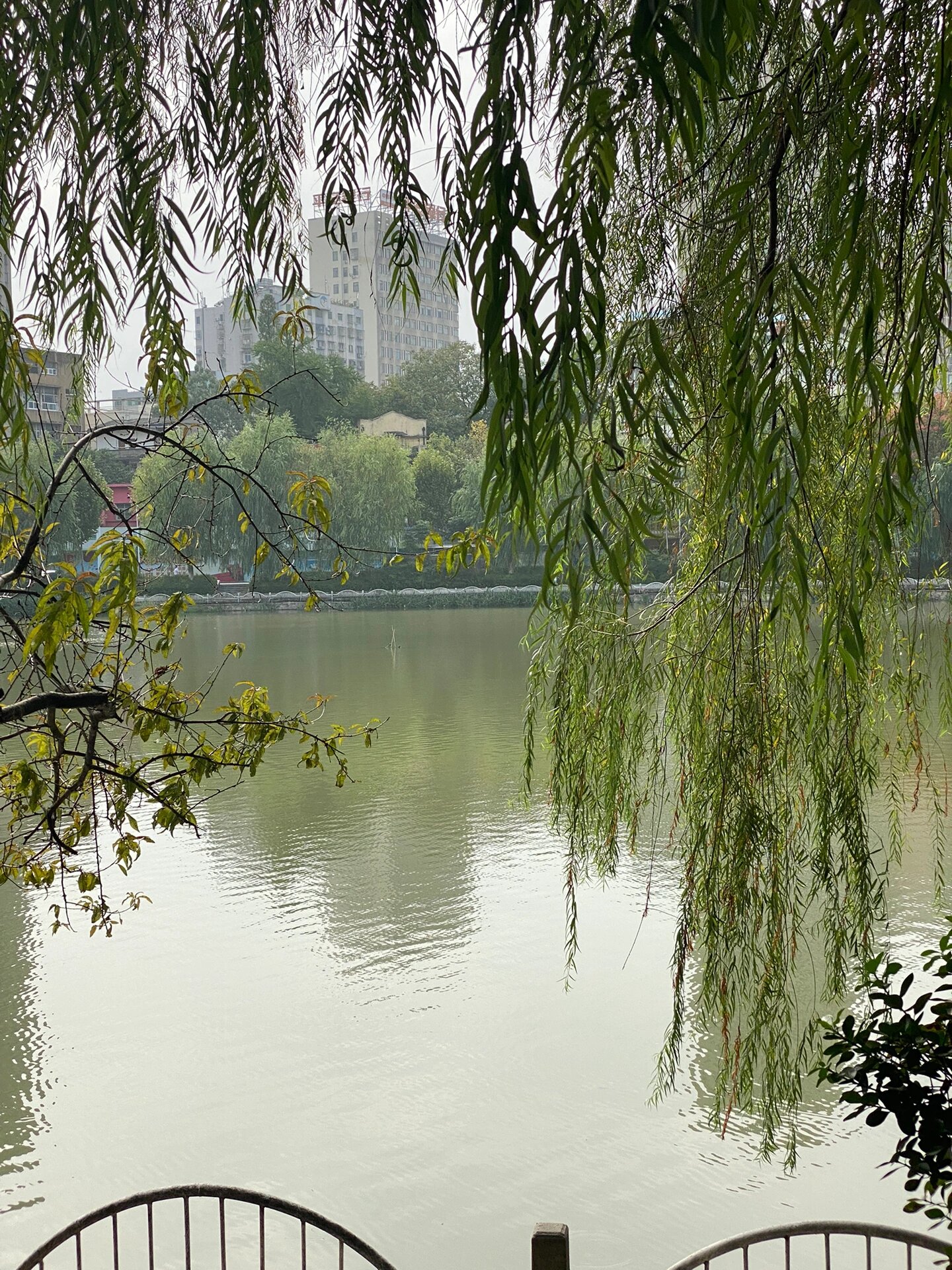 荆江大堤简介图片