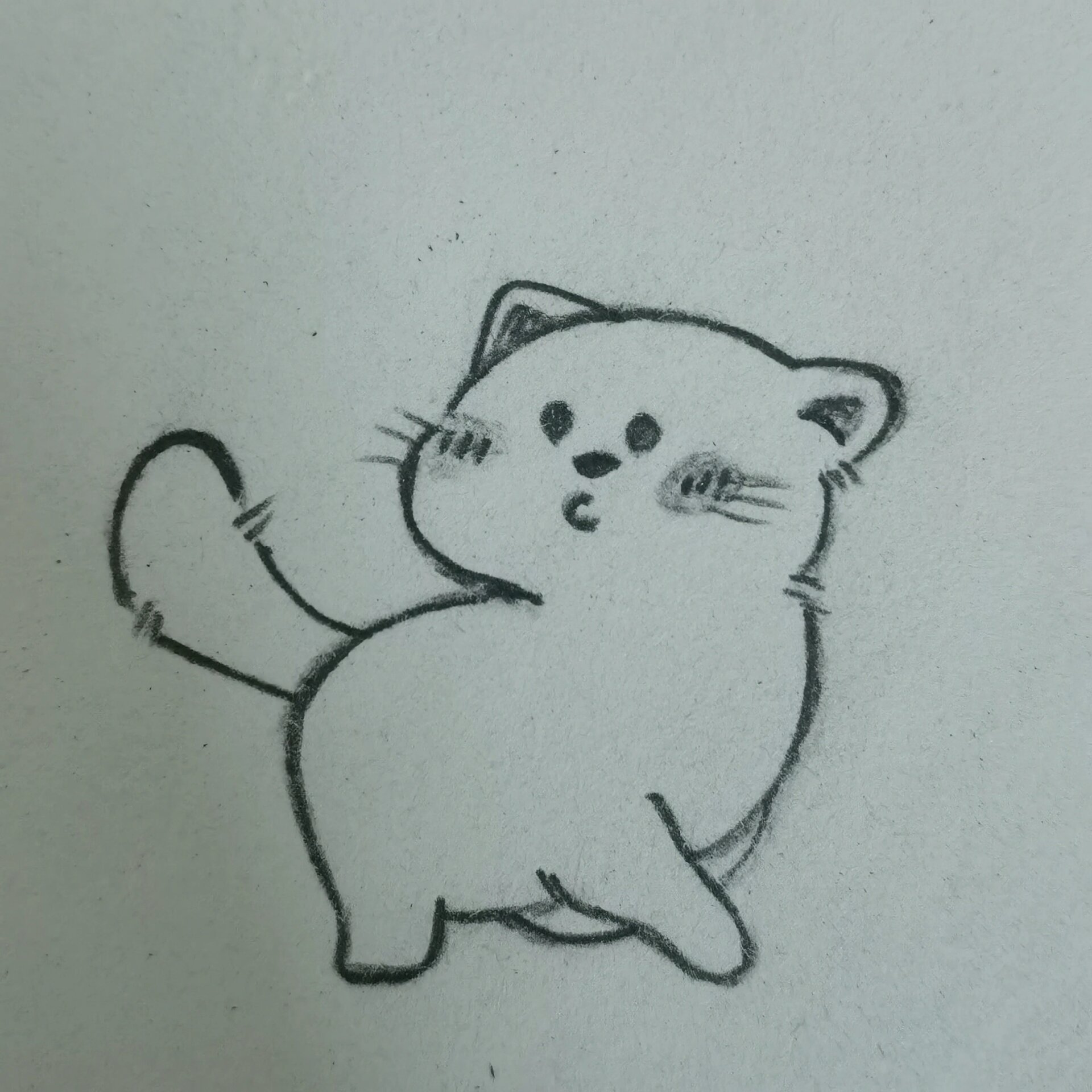 行走的小猫咪简笔画暑假练习