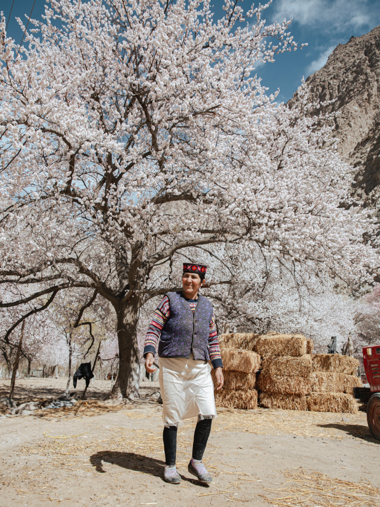 阿勒玛勒克,塔莎古道杏花村