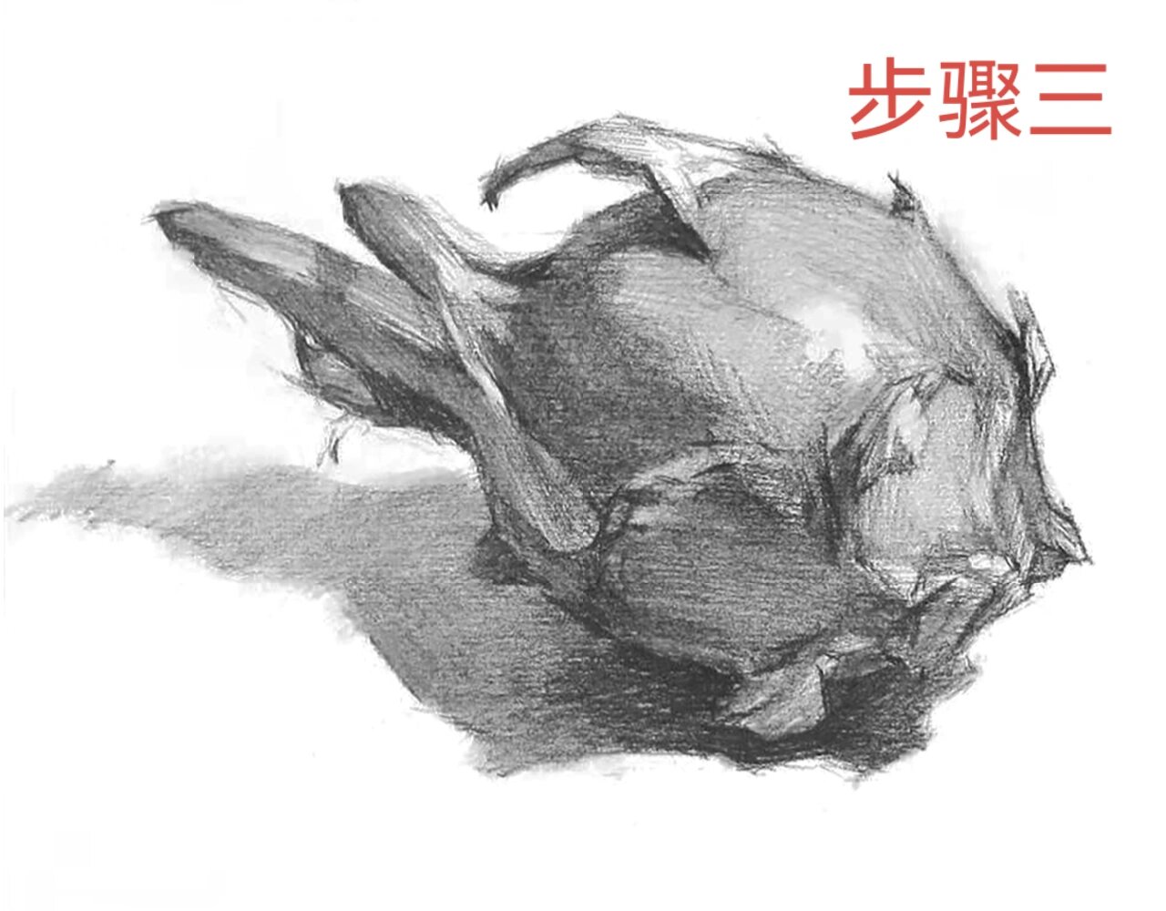 火龙果爱了爱了～火龙果素描塑造步骤解析