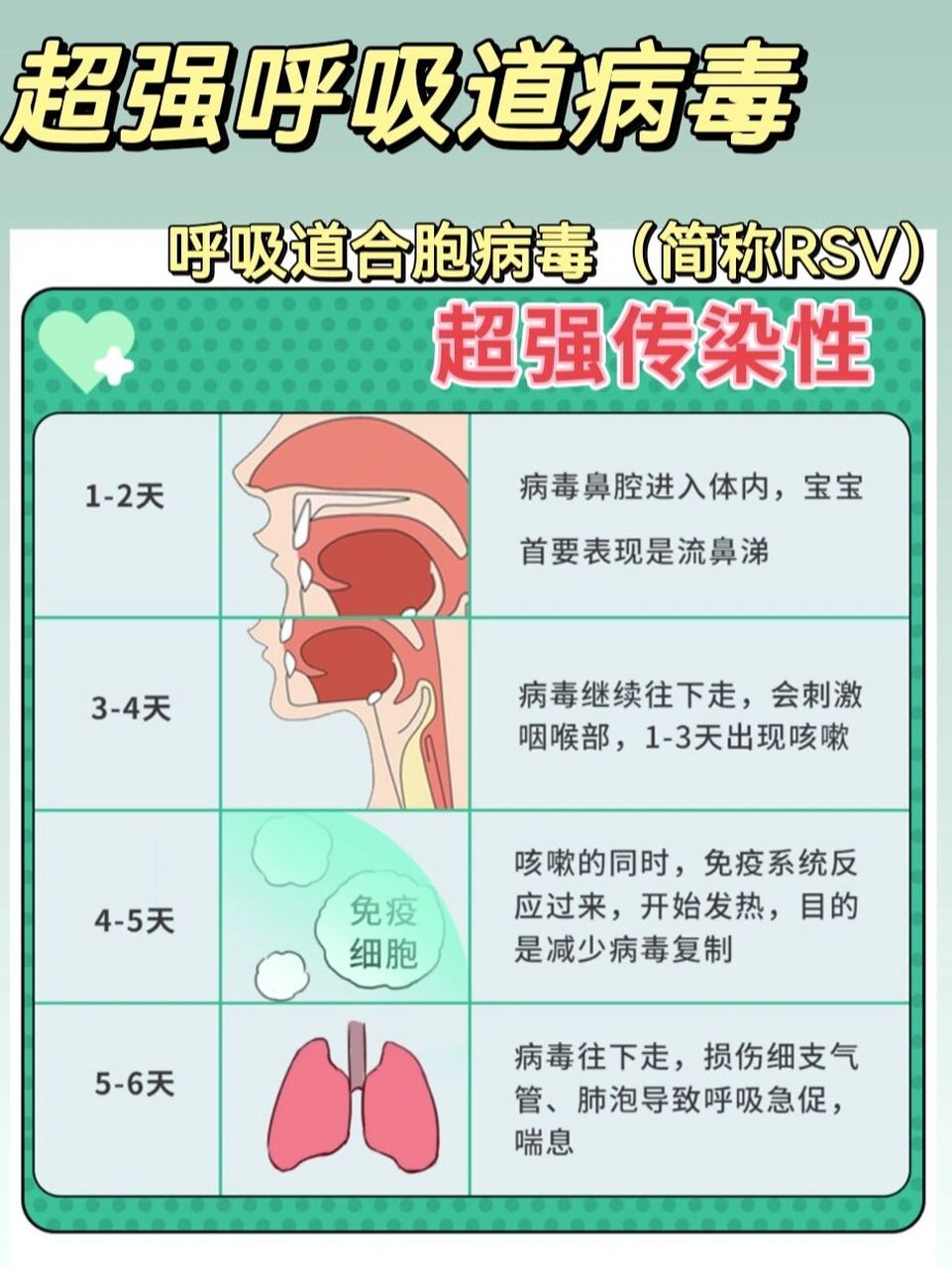 几乎所有2岁内宝宝都感染过的病毒 呼吸道合胞病毒