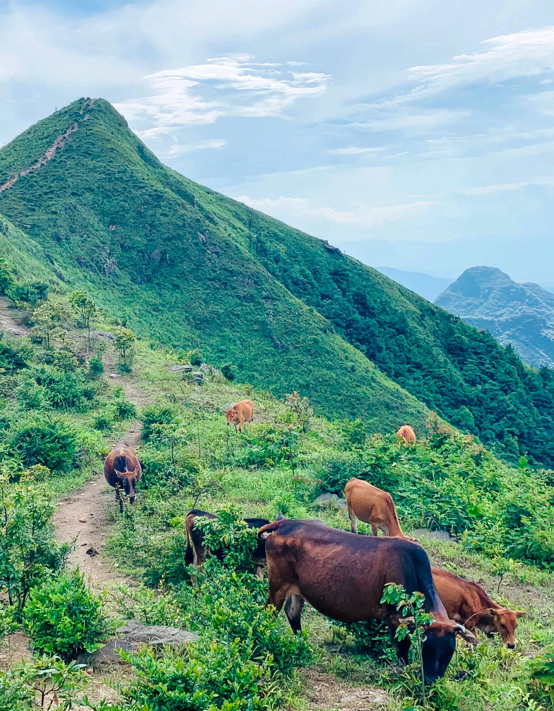 99吹爆!清远莫六公山必然让你爱上登山