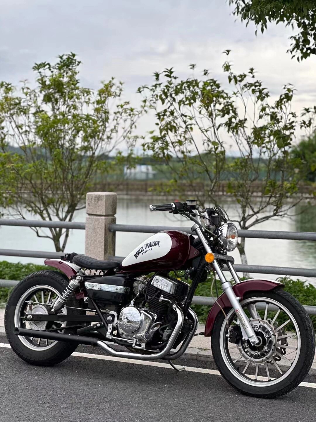 大地鹰王 特价258890 出售极品大地鹰王复古双缸250cc 整车非常新