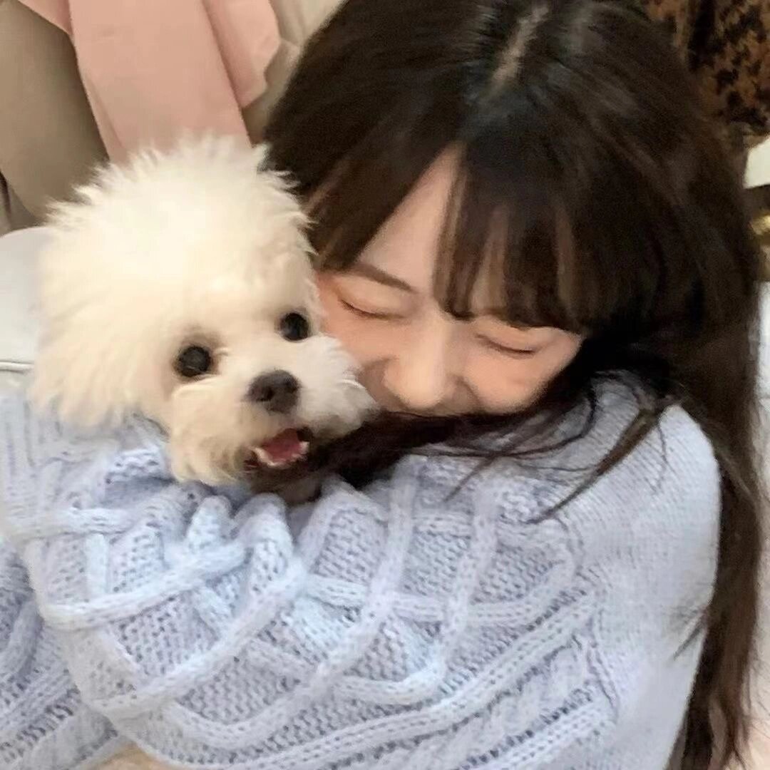 狗狗合集 女生头像