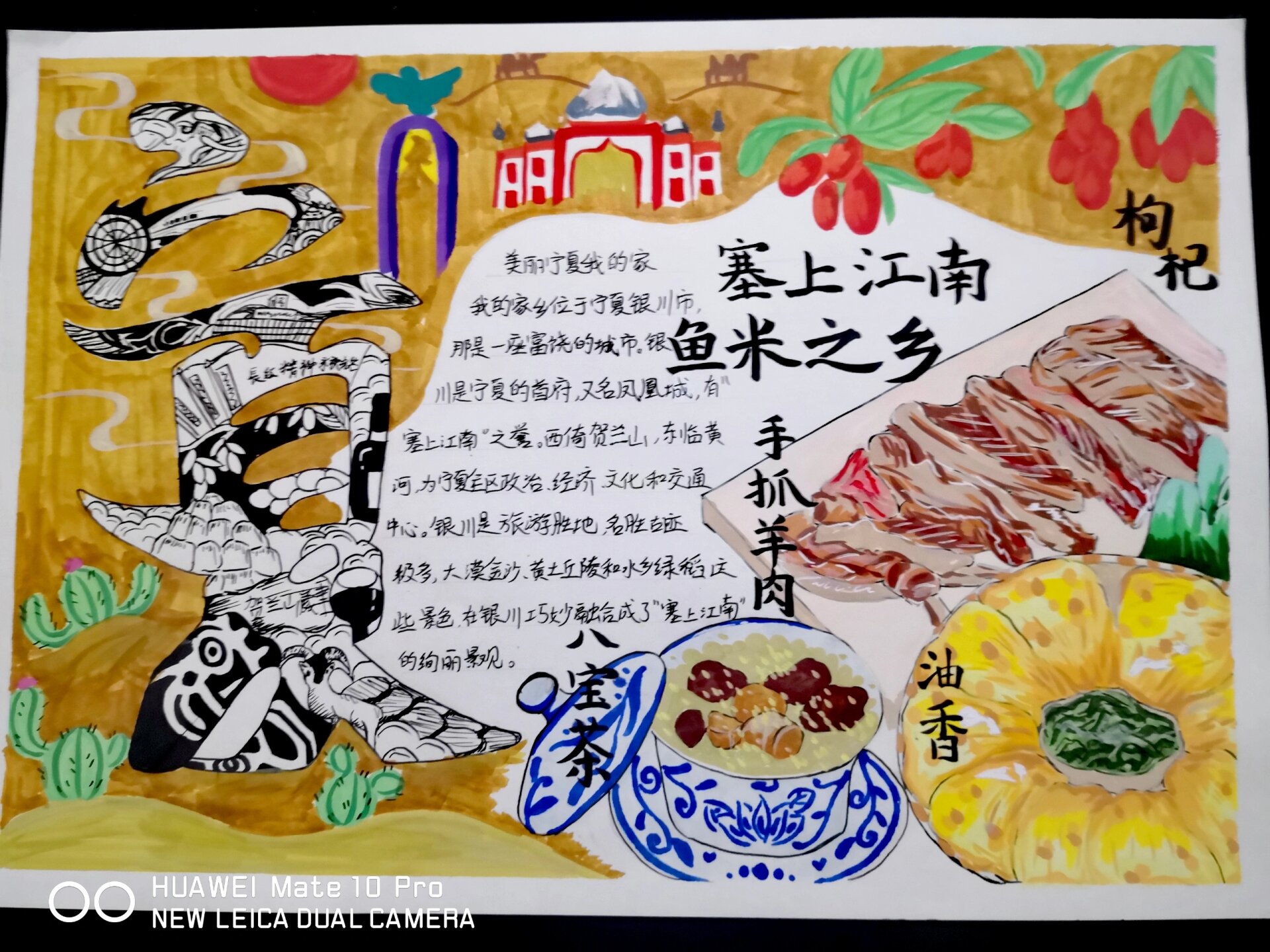 美丽宁夏我的家主题绘画手抄报