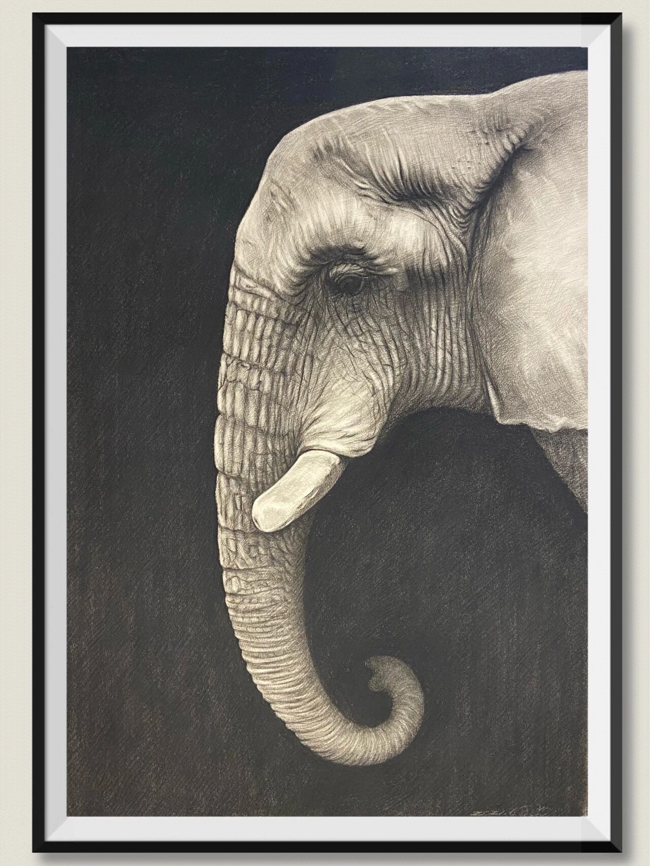 素描动物 大象素描步骤