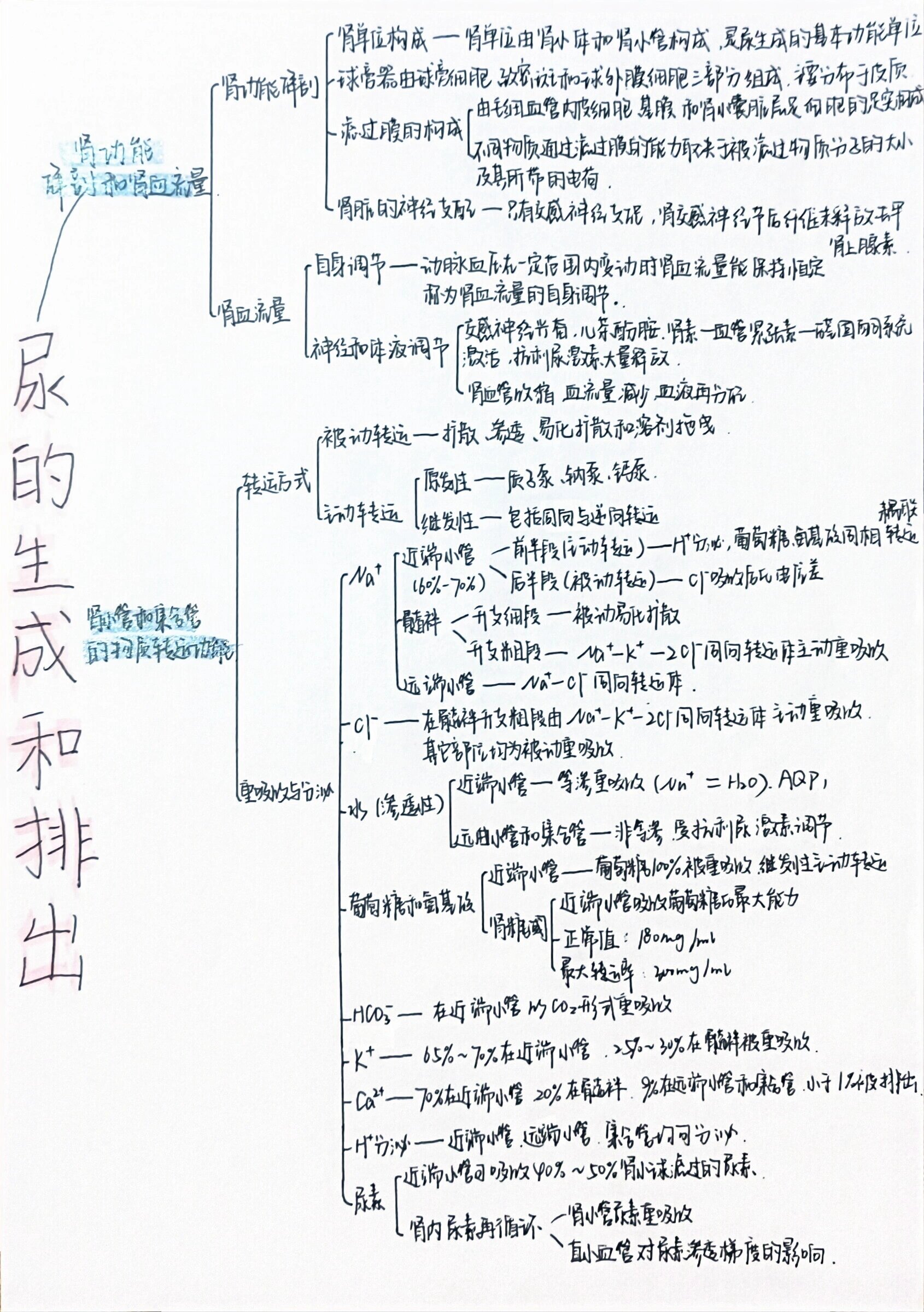 排尿排便评估思维导图图片