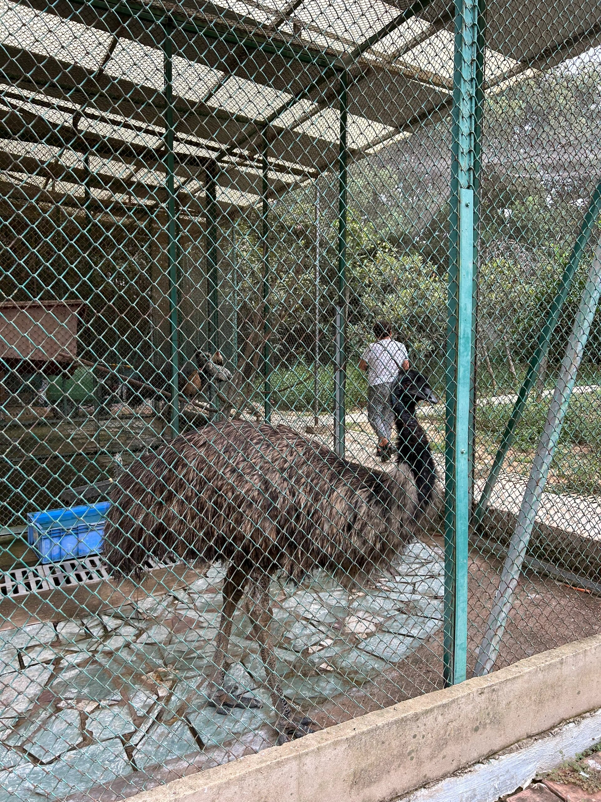 武汉鸟语林,辜负了我对它的期望 今天阴天781527度,温度适宜,偶尔