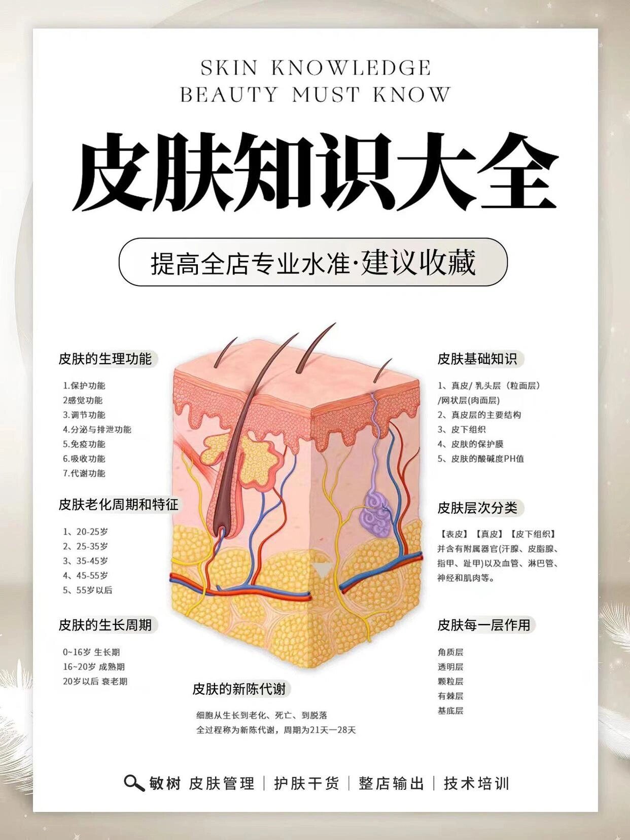 皮肤基础知识|结构图 皮肤层次分类: 【表皮】【真皮】【皮下组织】
