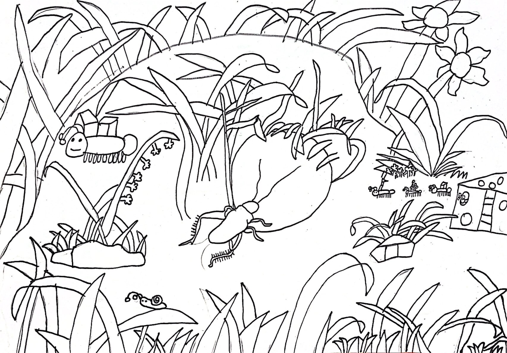 第二弹 湘美版小学四年级上册美术《草丛中》