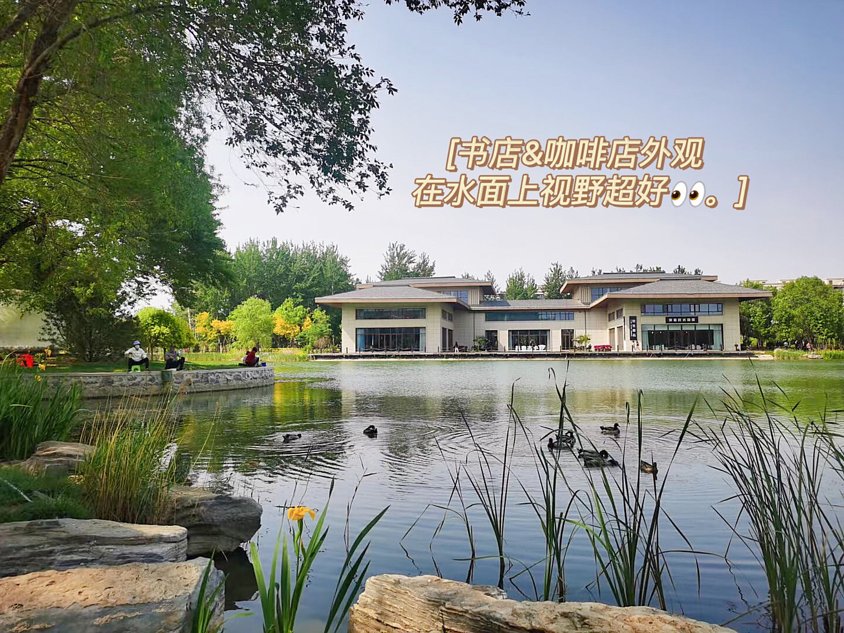 北京周边游|遛娃胜地 林栖谷森林温泉度假区 99坐标河北廊坊永清县