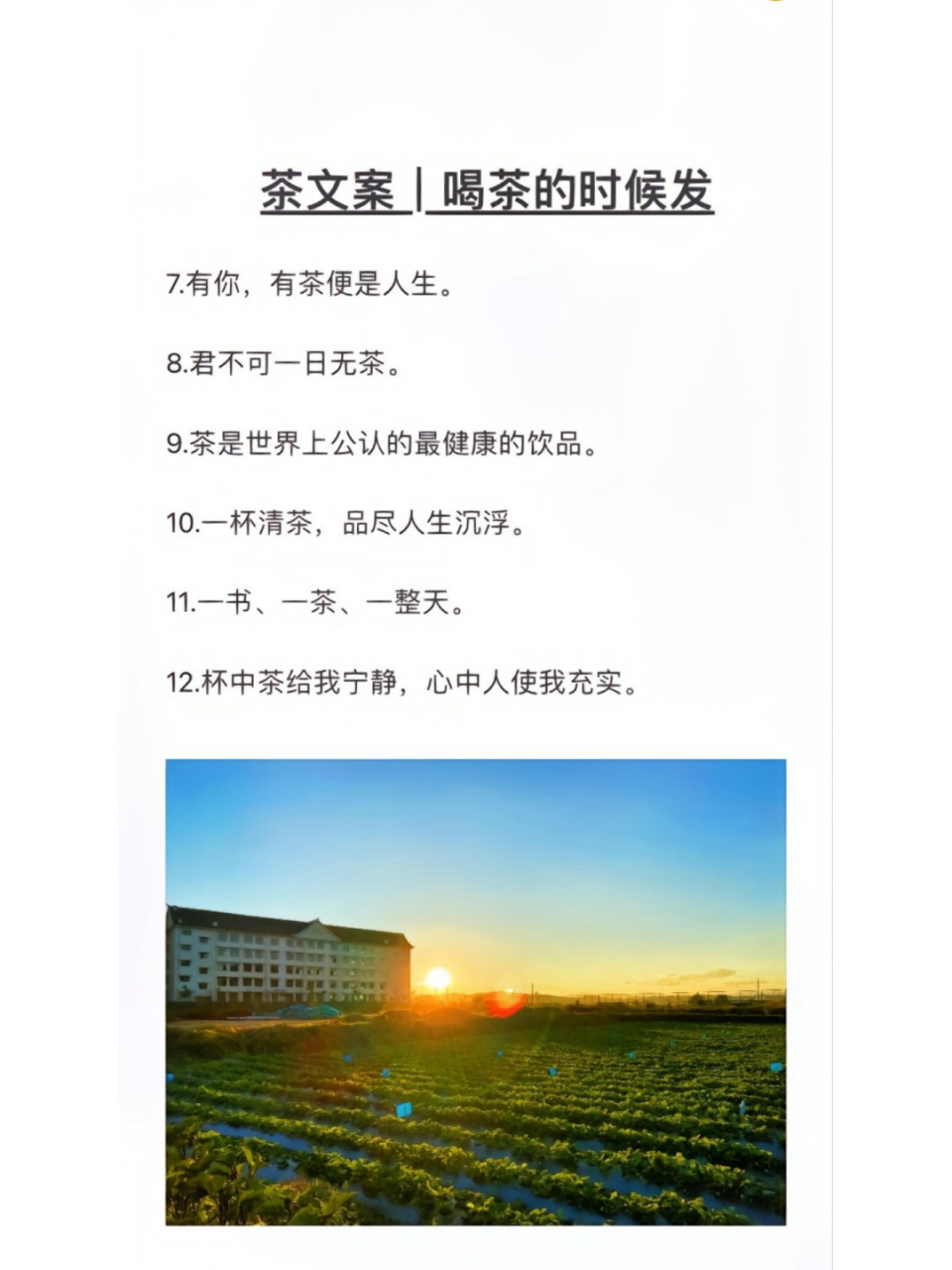 好茶不断,友情不散,喝茶朋友圈文案 95茶文案喝茶的时候就这么发