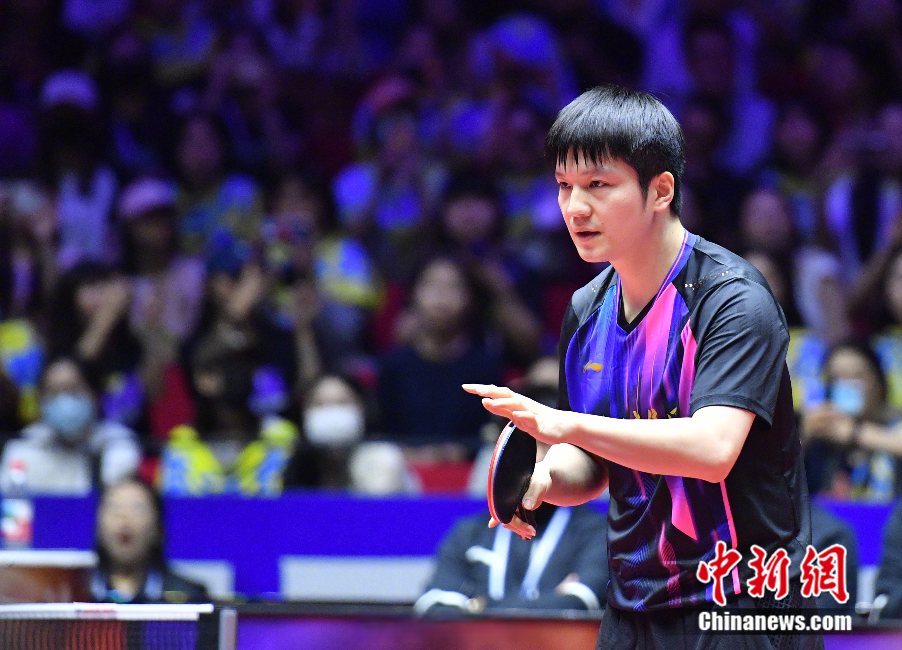 樊振东迎 战林高远 乒乓球世相关图片4