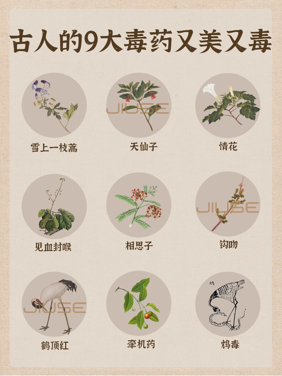 藏在古药里的绝美名字