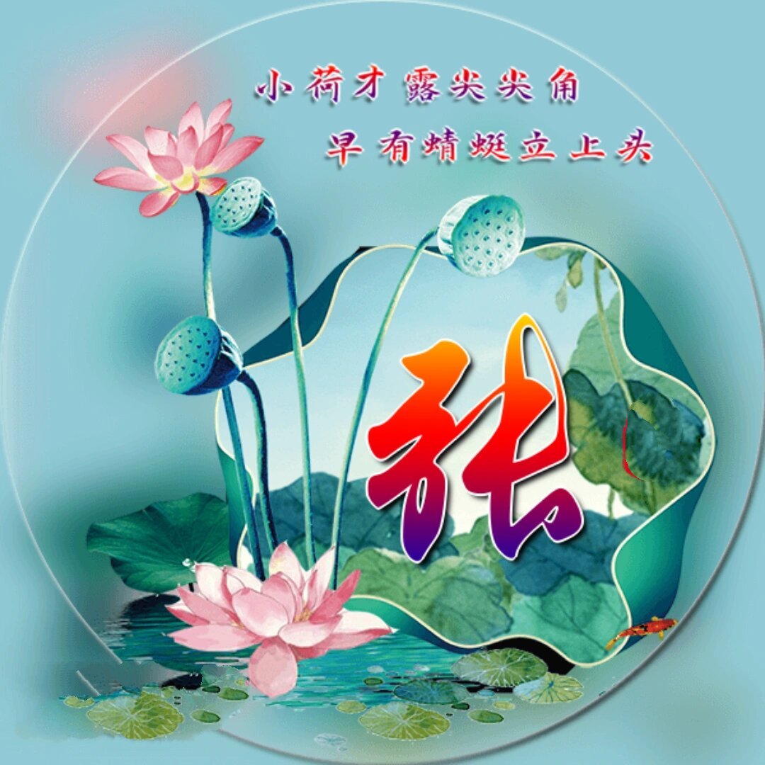 莲花带姓字图片图片