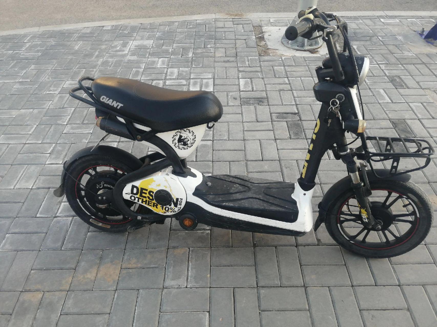 捷安特133骑不坏的电动车,这是正品,捷安特133,懂这款车的朋友联系