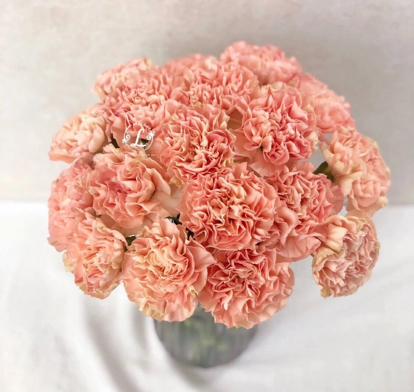 单头康乃馨(橙光) 你值得拥有95 一扎16枝,实际会多发几枝做售后