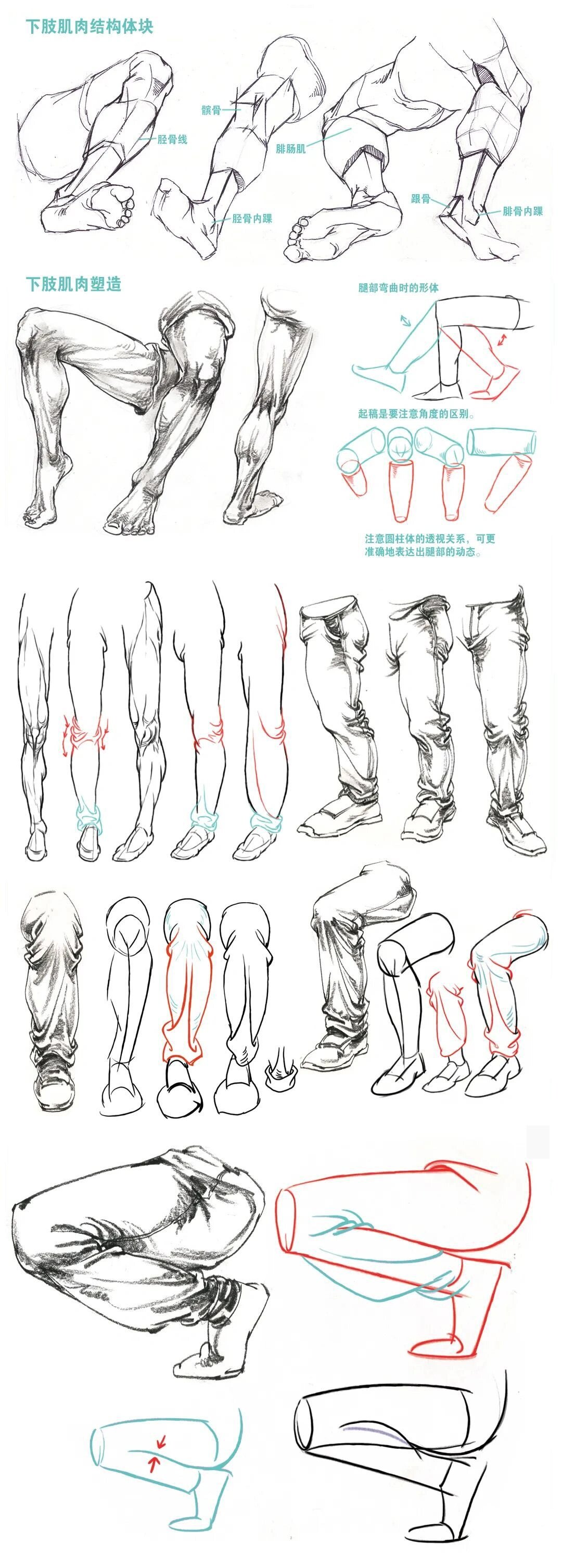 速写人物腿部分类及画法分析