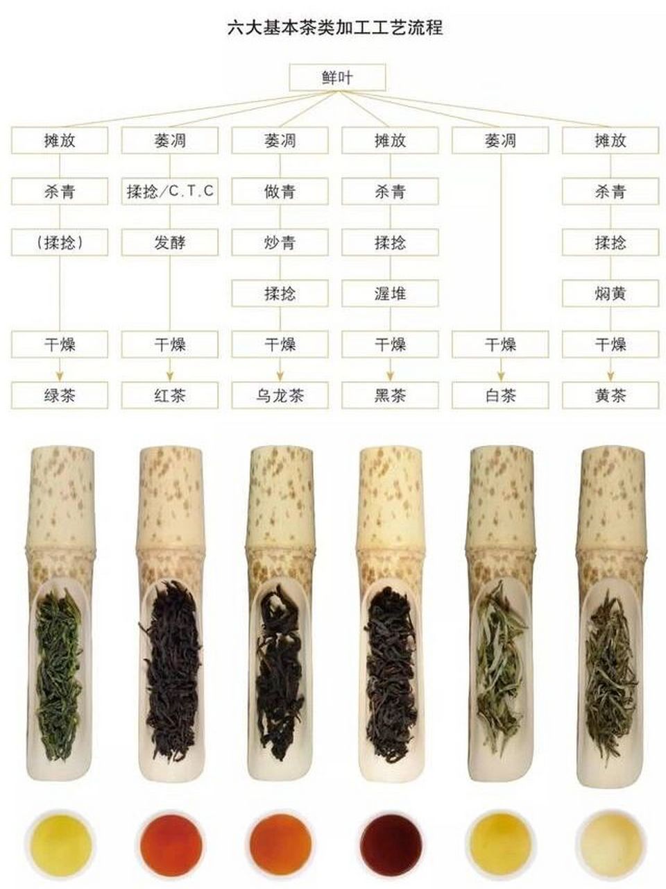 95中国六大茶类的制作工艺 991,绿茶:杀青——揉捻——干燥 992