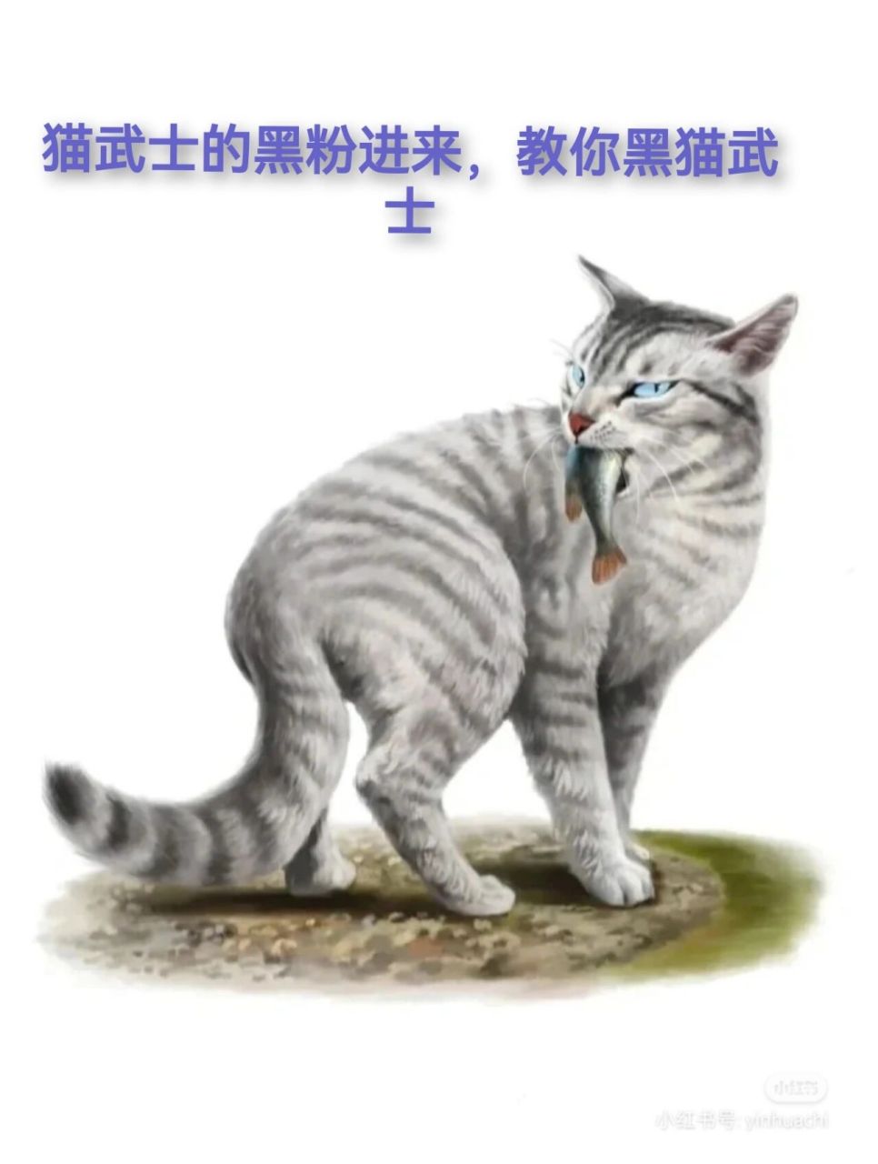 猫武士雷族族长的图片图片