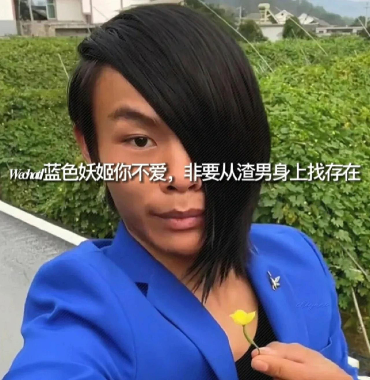 蓝色妖姬切尔西来啦.是头像哦.