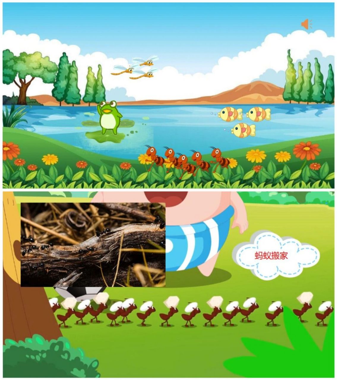 今天分享一节幼儿园优质公开课~大班科学《会预报天气的动物》 有ppt