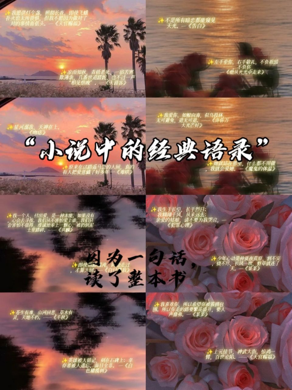 小说中的经典语录 小说中的经典语录: ✨我生于长空,长于烈日; 我