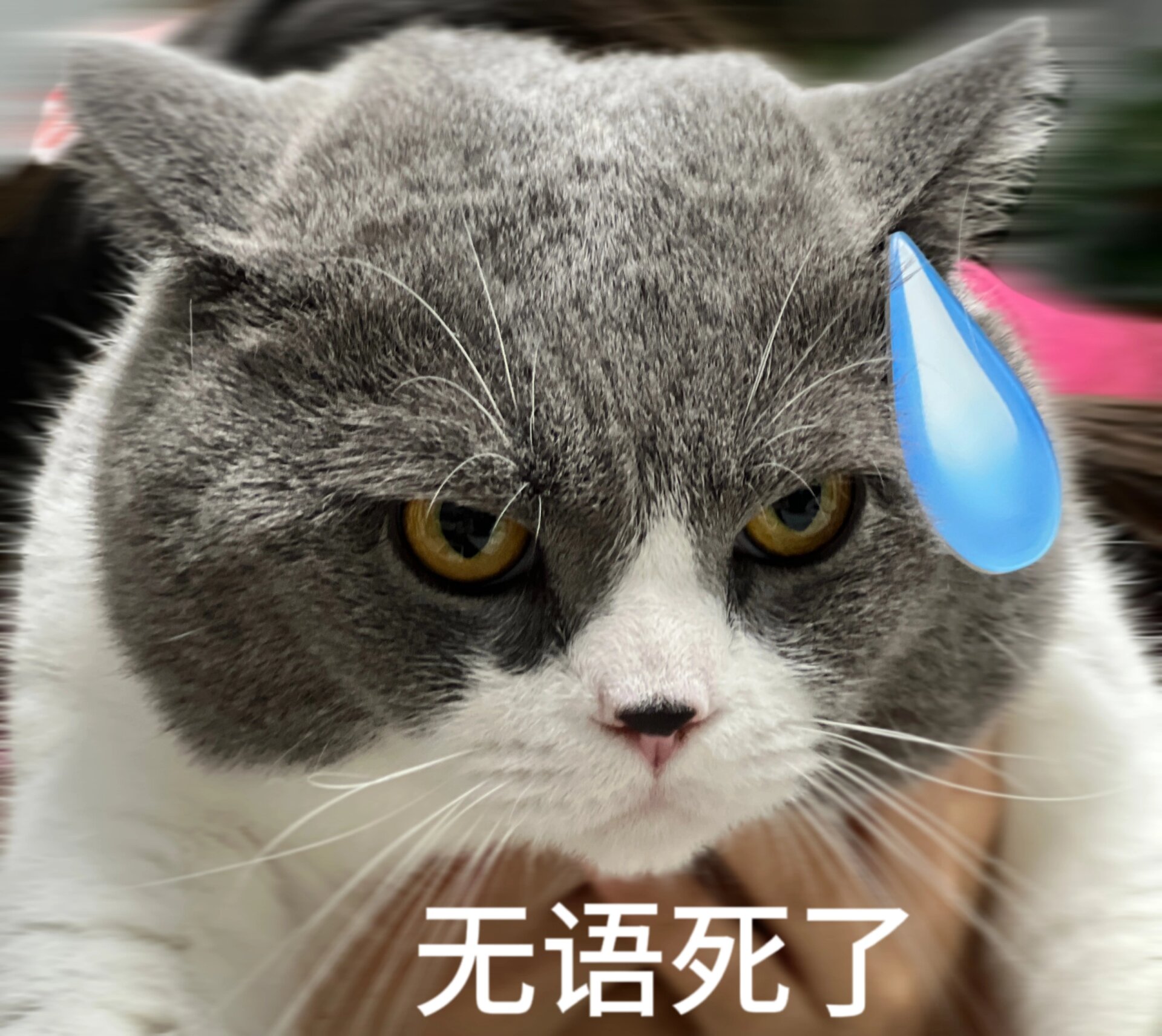 讨厌没有边界感的人类