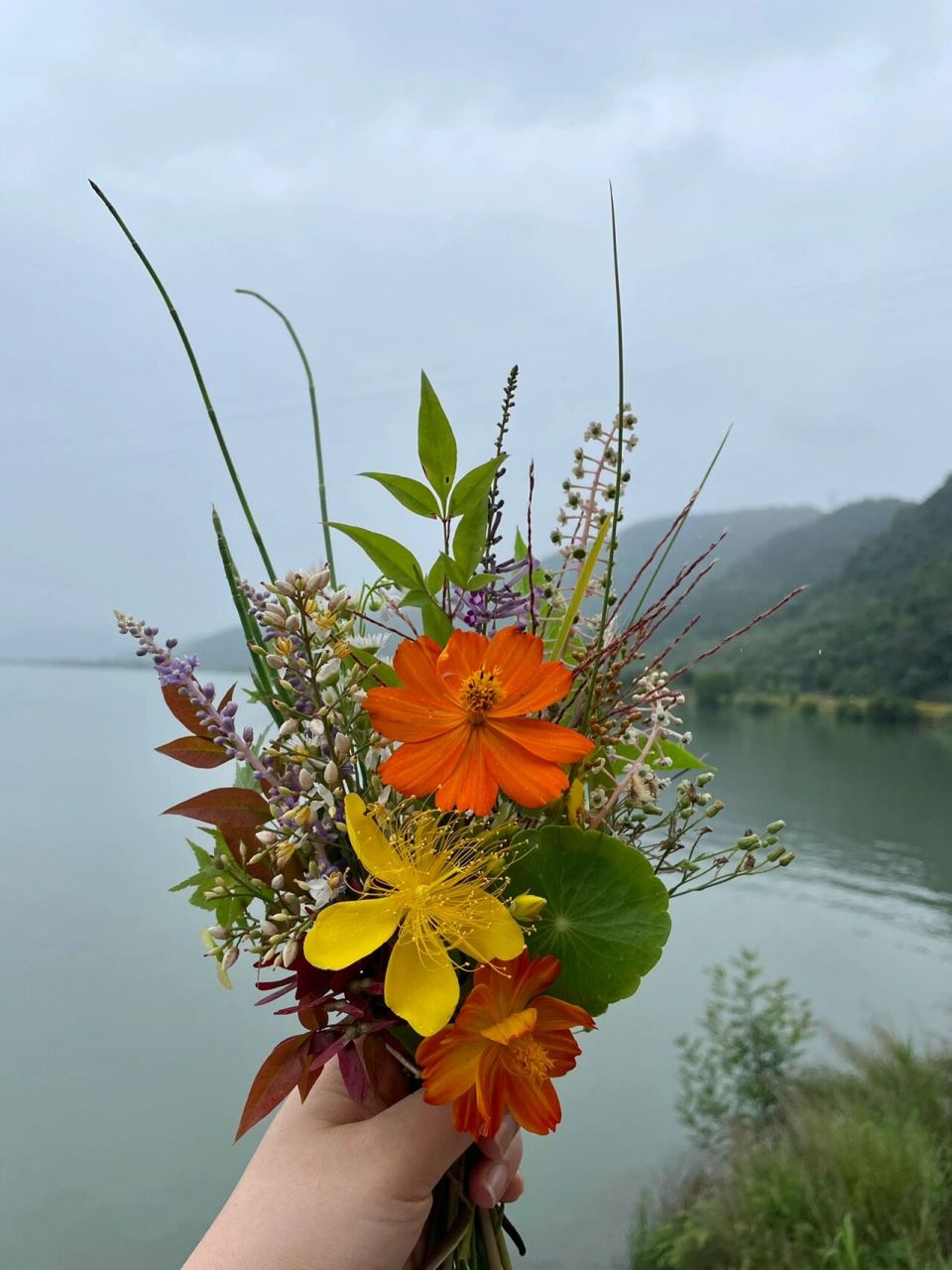 田间地头触手可得的野花野草做一束漂亮花束