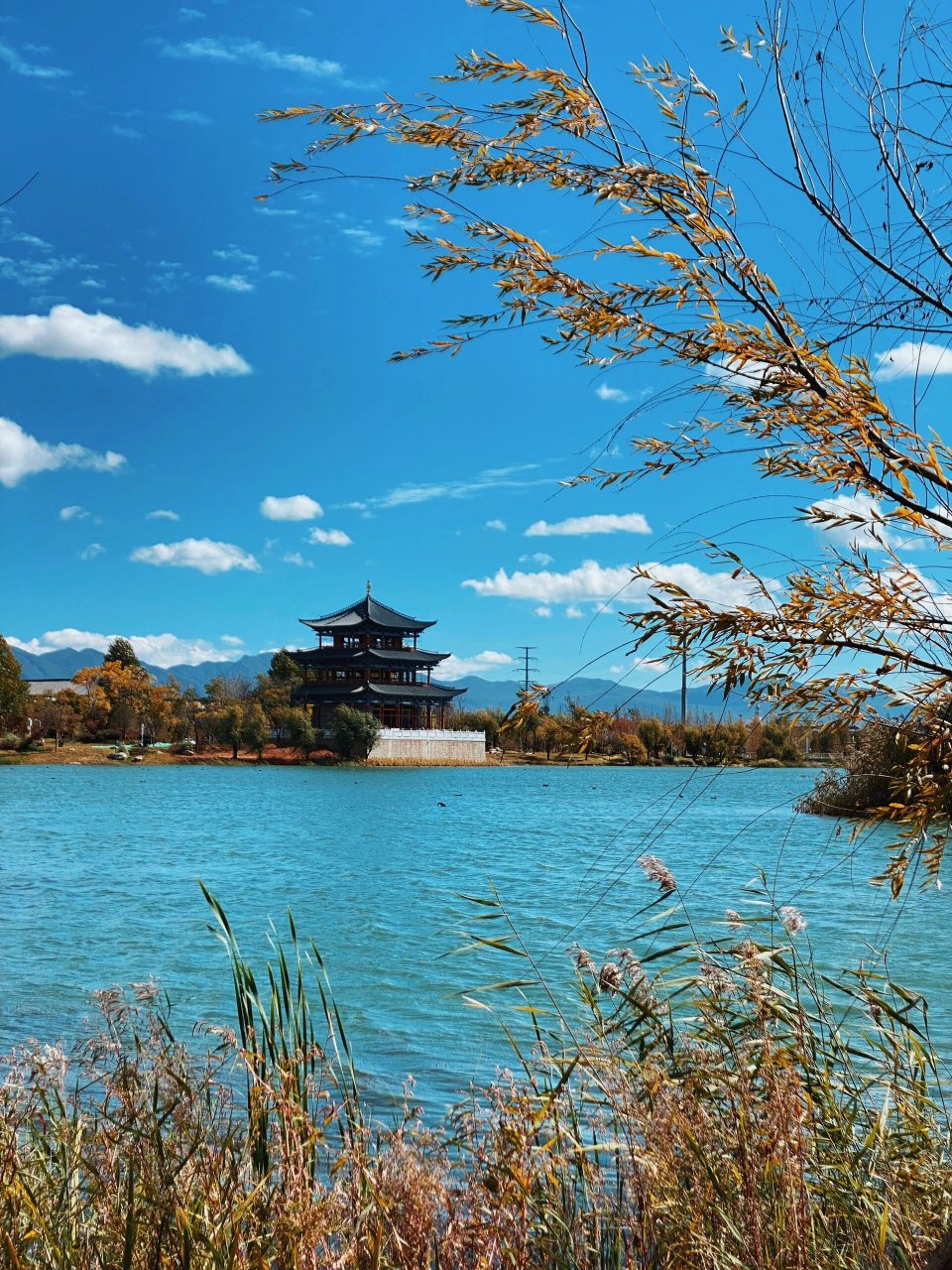 深秋的中济海公园真的美的像漫画 丽江秋季宝藏打卡点～中济海公园