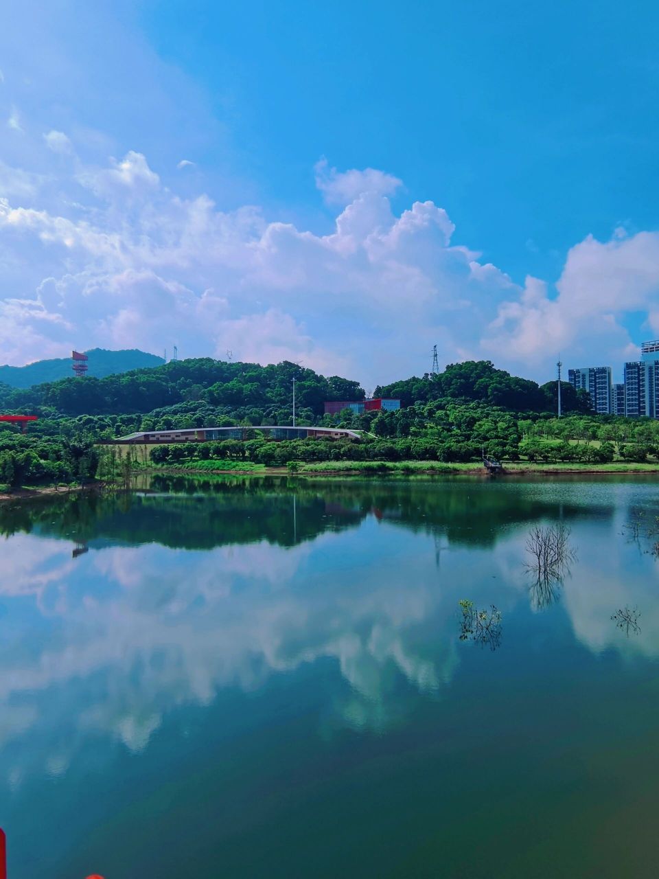 记录深圳|网红景点|虹桥公园 题记:蜿蜒在蓝天白云下,穿梭于绿树红花