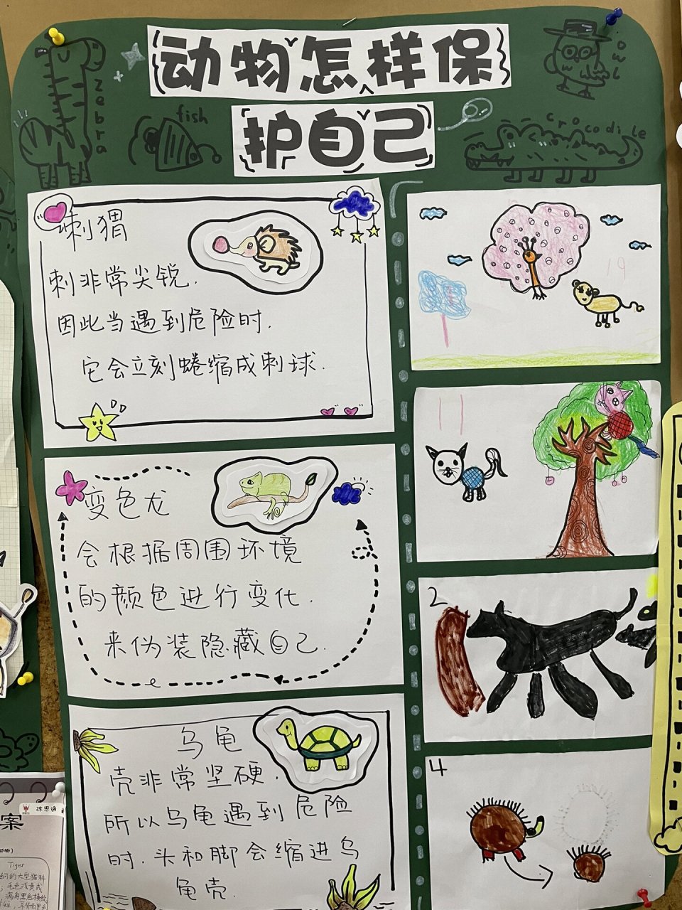 大班"动物世界真奇妙"主题墙