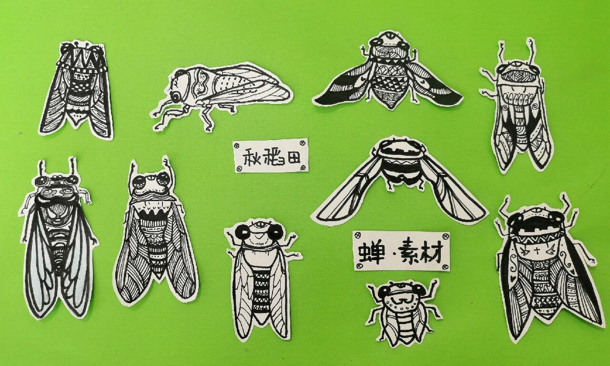 【知了简笔画】画蝉 有没有人和我一样觉得蝉 就像一只放大版的苍蝇