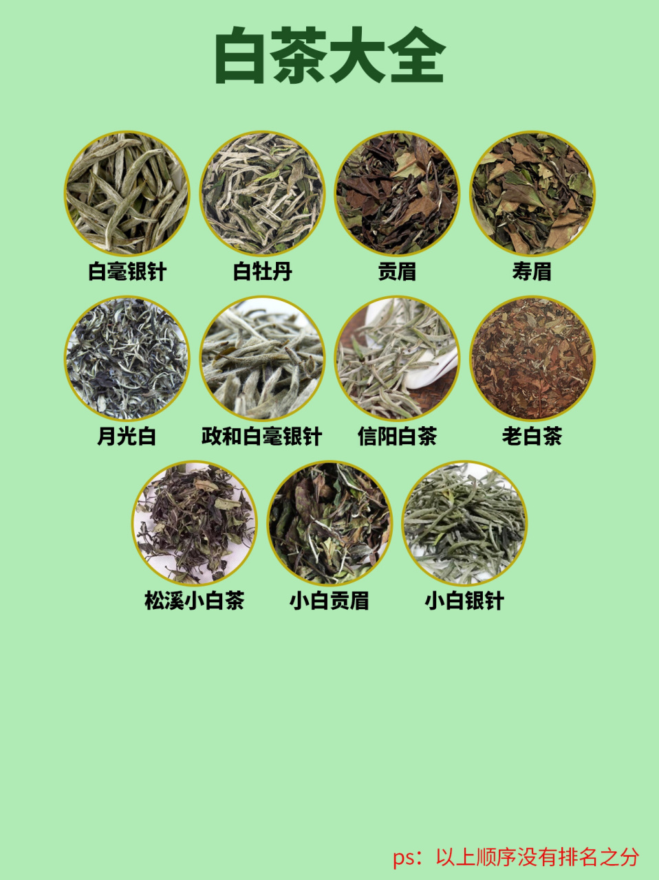 白茶十大品种图片