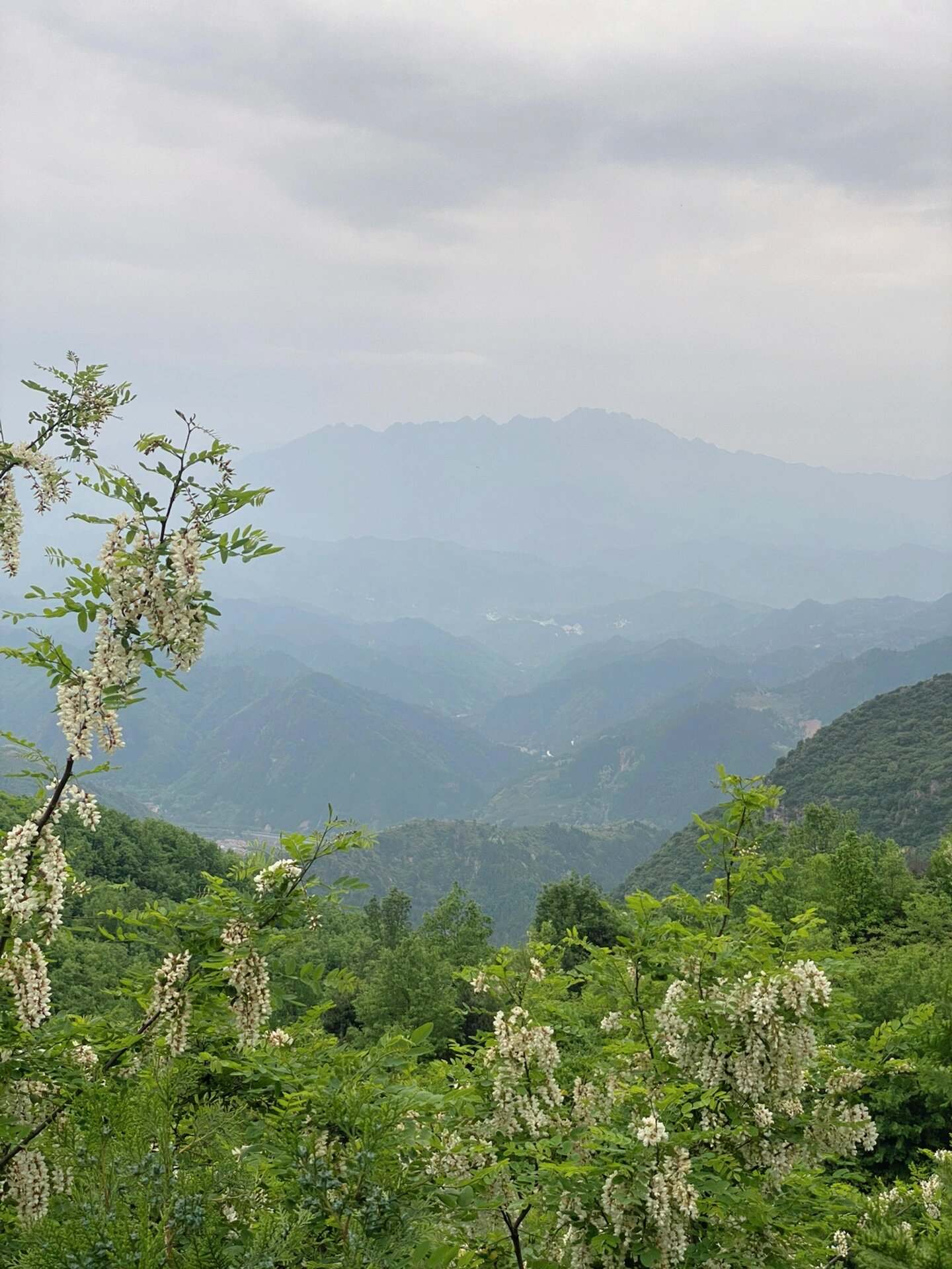 西安蓝田|蓝关古道自驾攻略