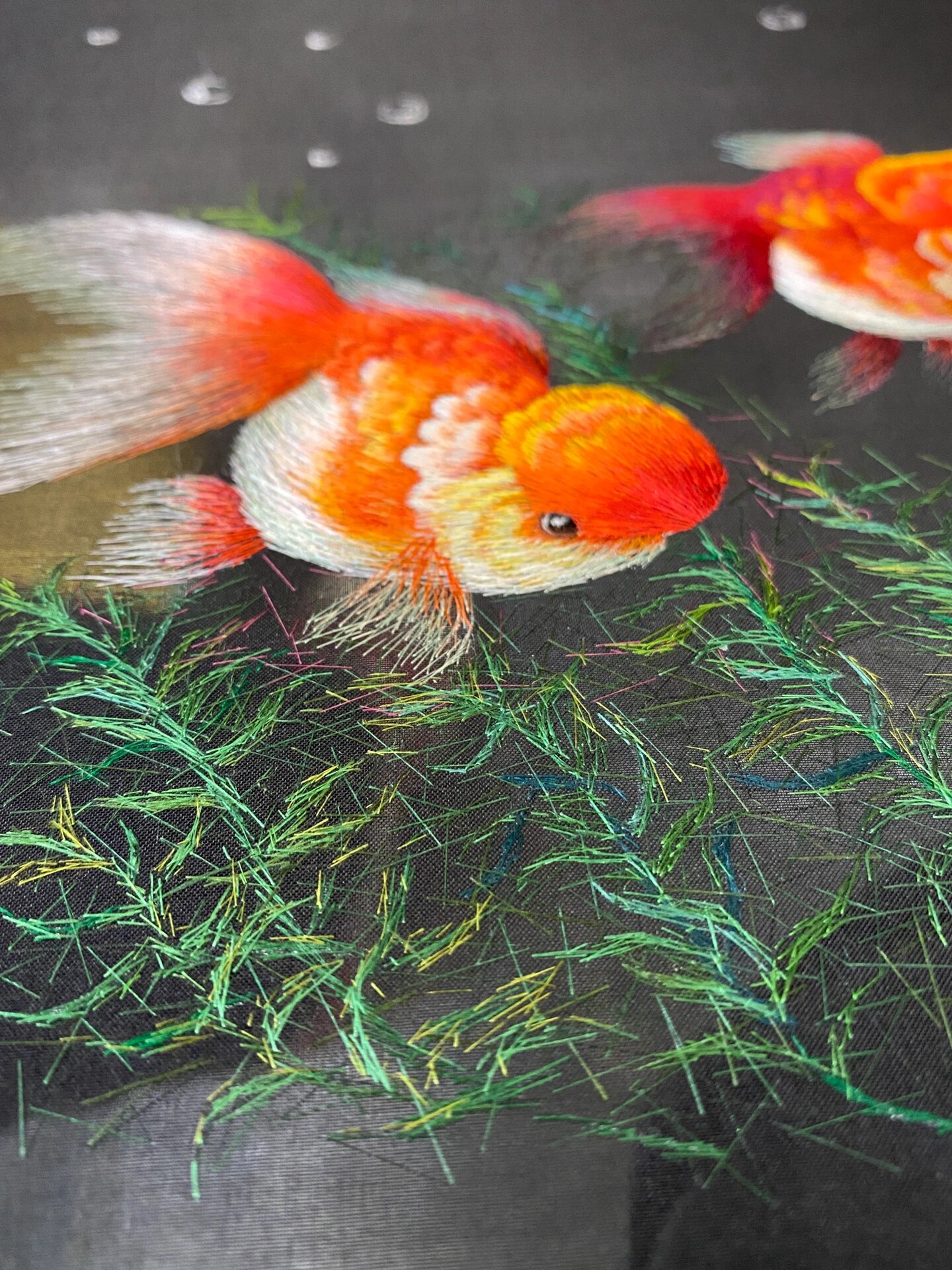 苏绣|金鱼图—鱼鳍文字教理01