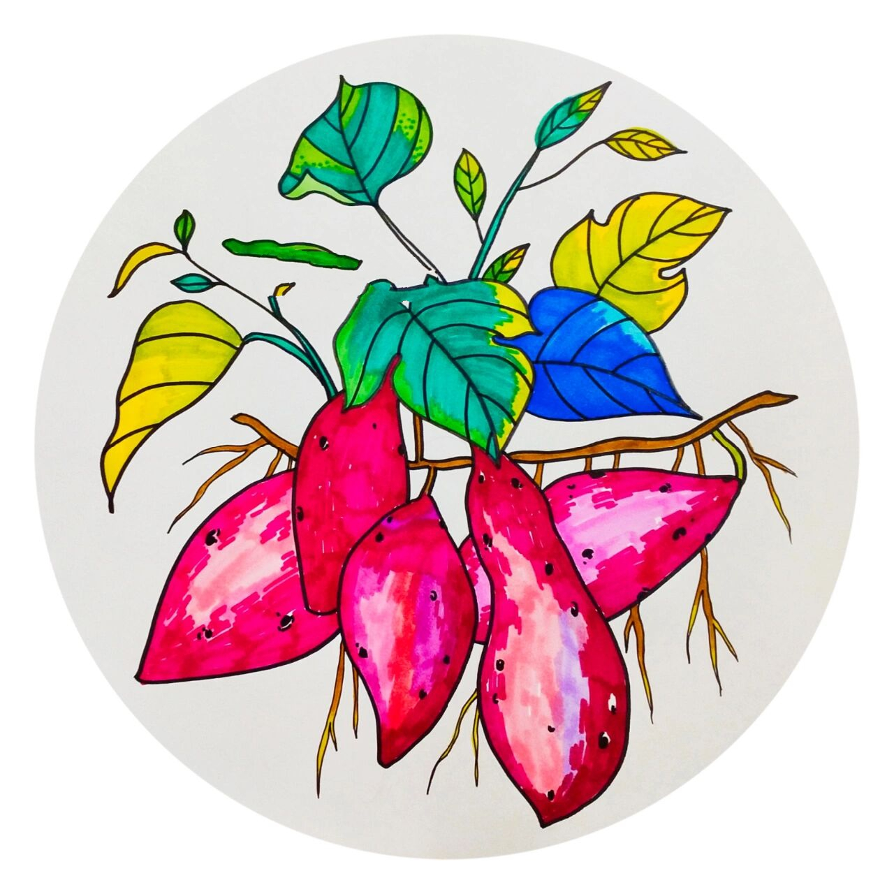 创意儿童画《红薯》 适合七八岁的小朋友 好多小仙女问我要荷兰白卡纸