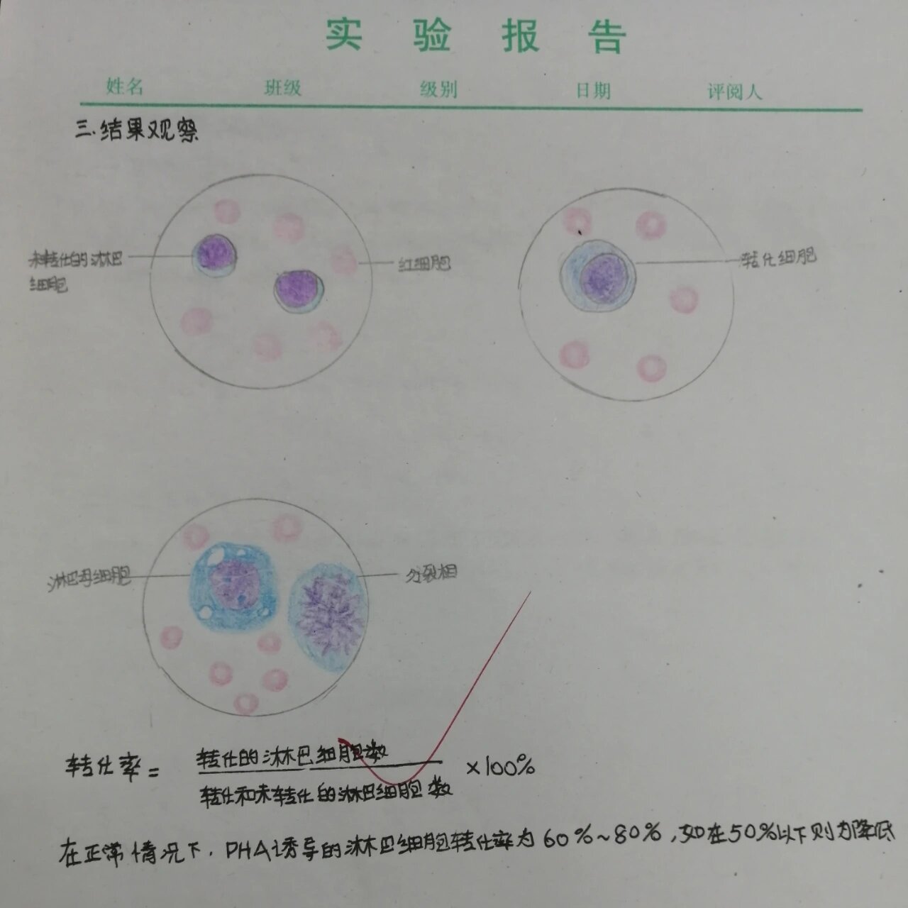 e花环实验红蓝铅笔图图片