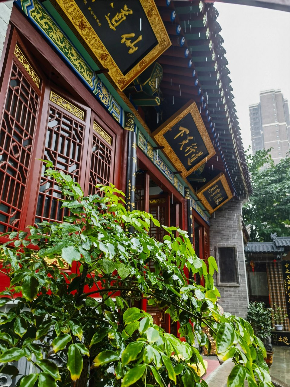 隐藏在市井的道观——青华宫 偶然发现,南三环边上有一个道观,23年