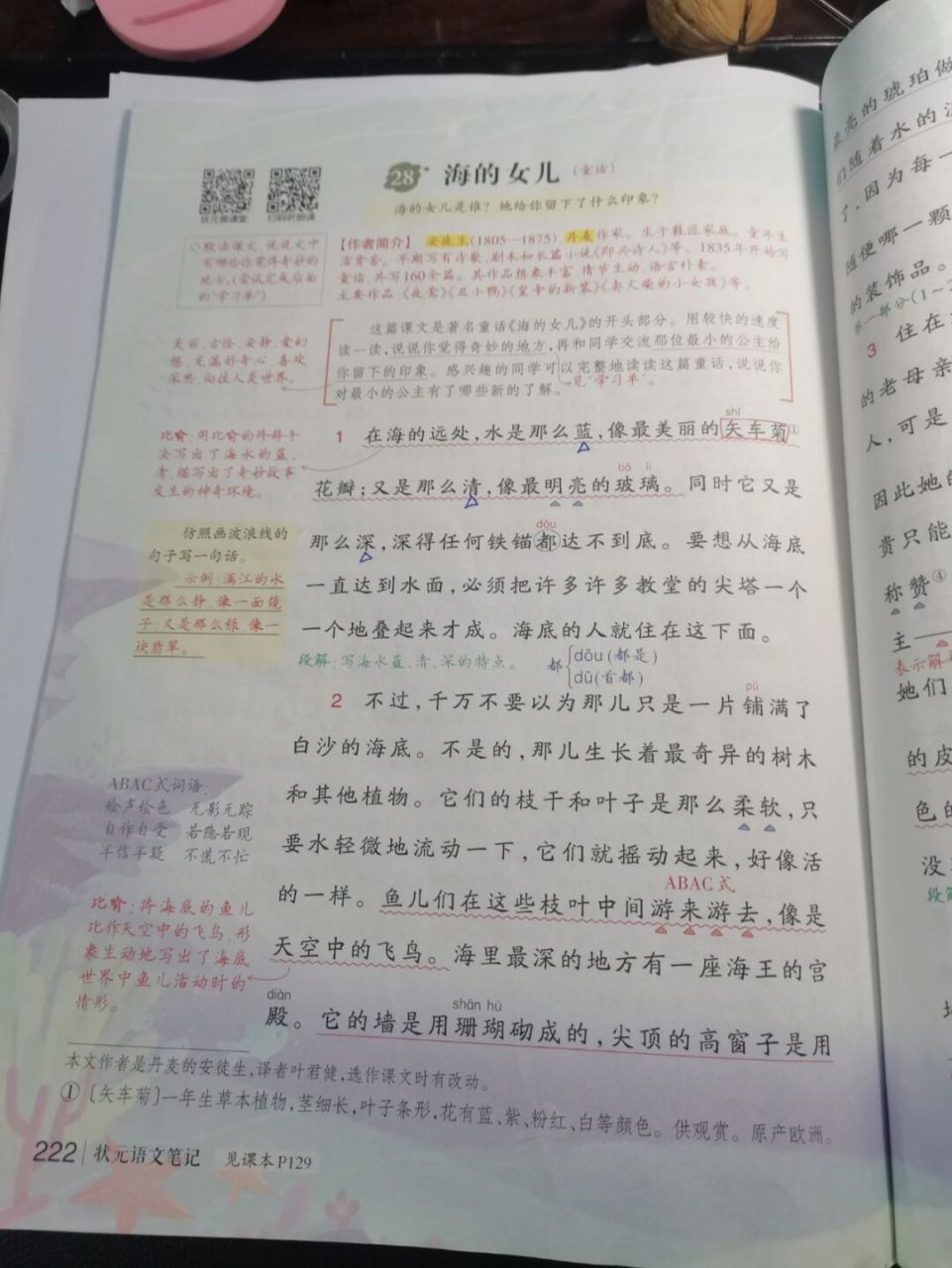 28海的女儿 #四年级语文# #课堂笔记# 海的女儿