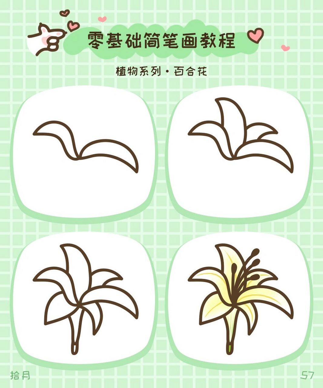 简笔画教程·植物系列·百合花 百合,又被叫做"山丹,中庭,中逢花"和"