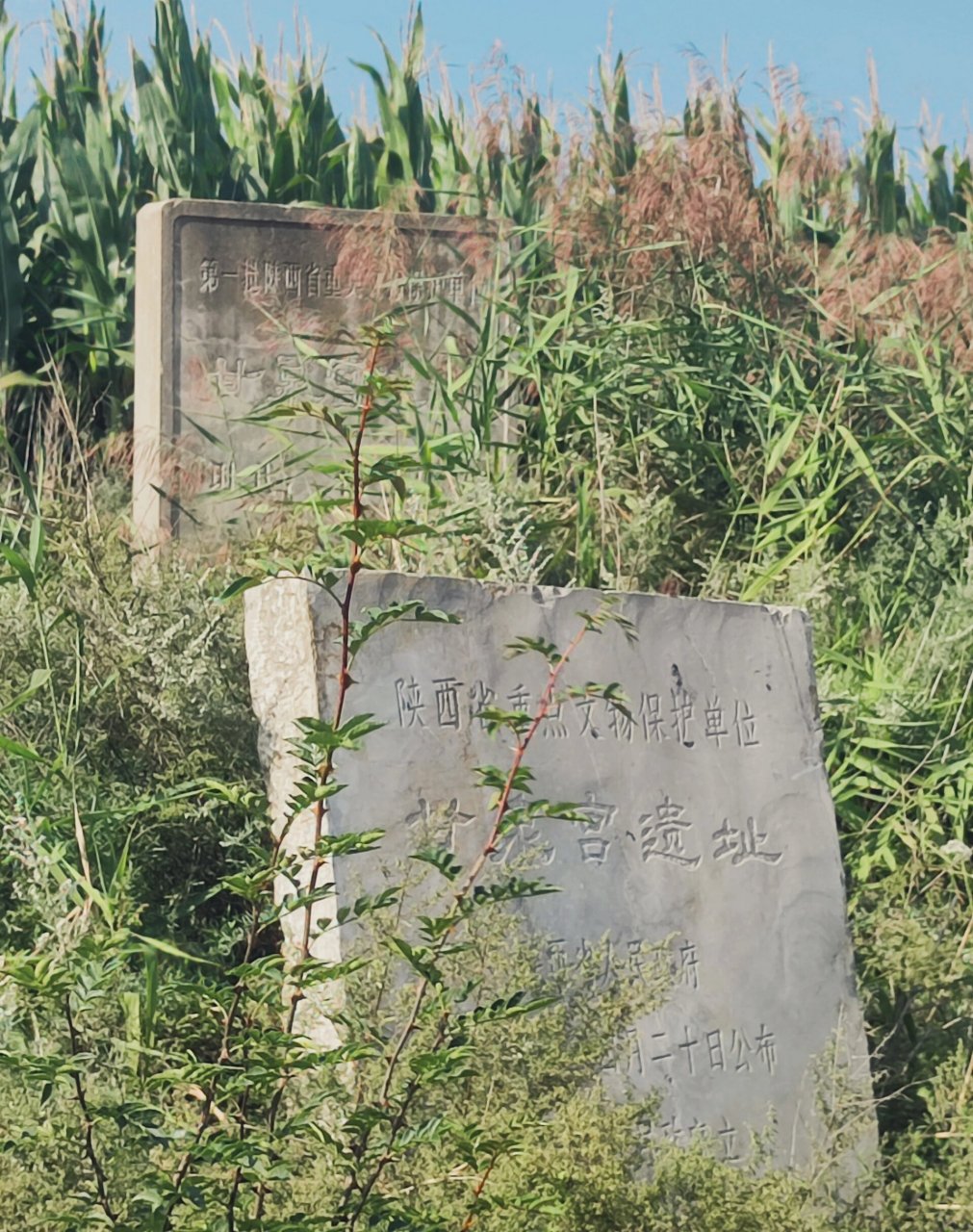 勾弋夫人墓图片