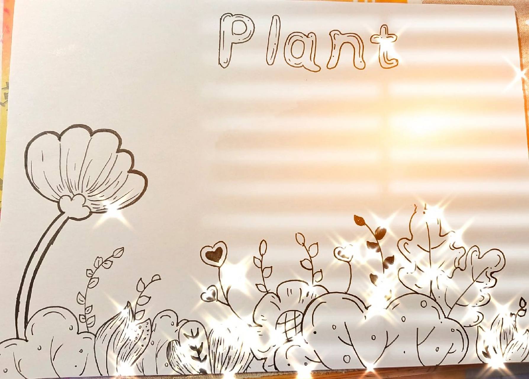 英语主题植物手抄报 英语主题植物手抄报