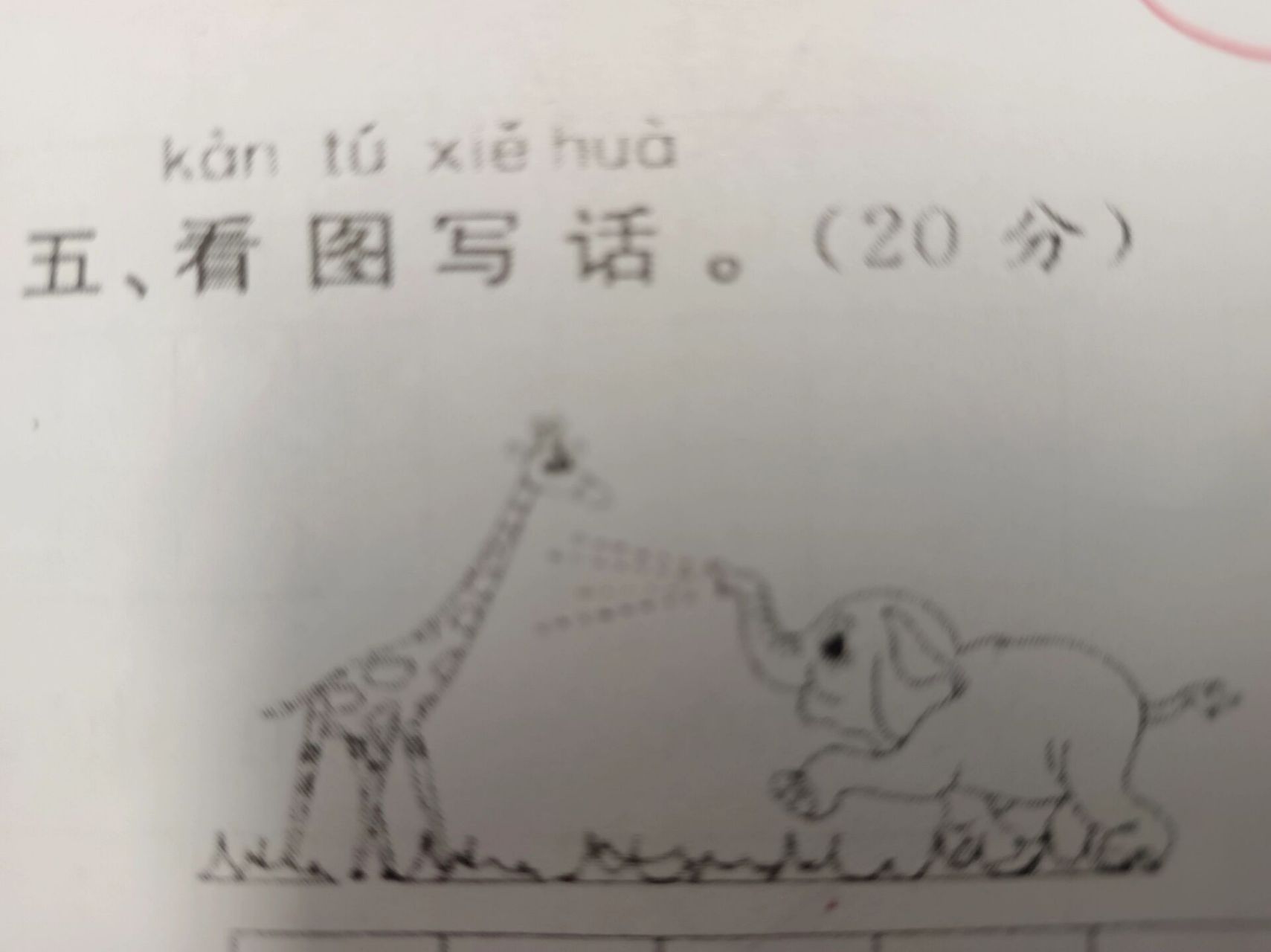 一年级看图写话:《长颈鹿洗澡》