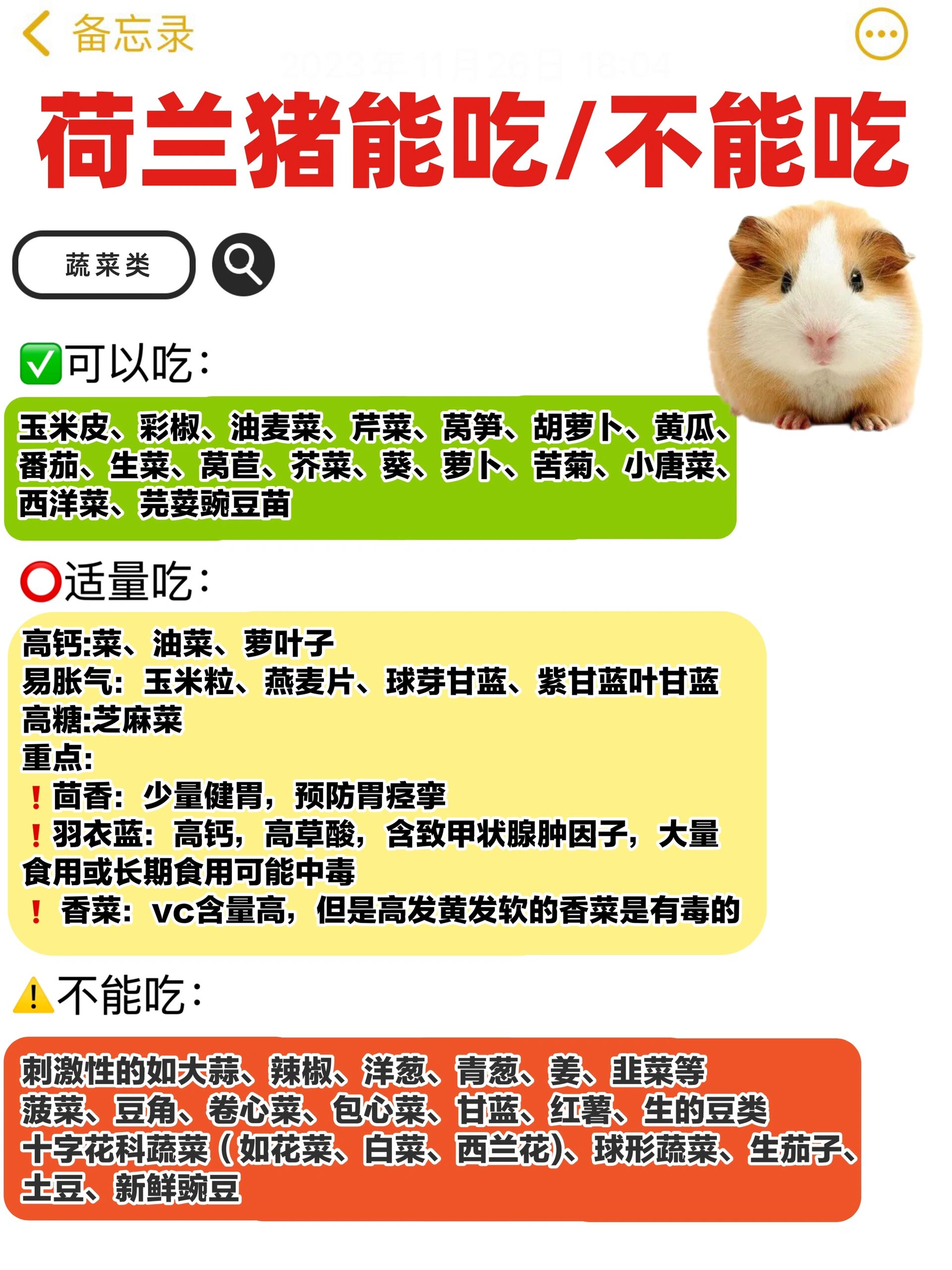 荷兰猪能吃/不能吃73超全总结